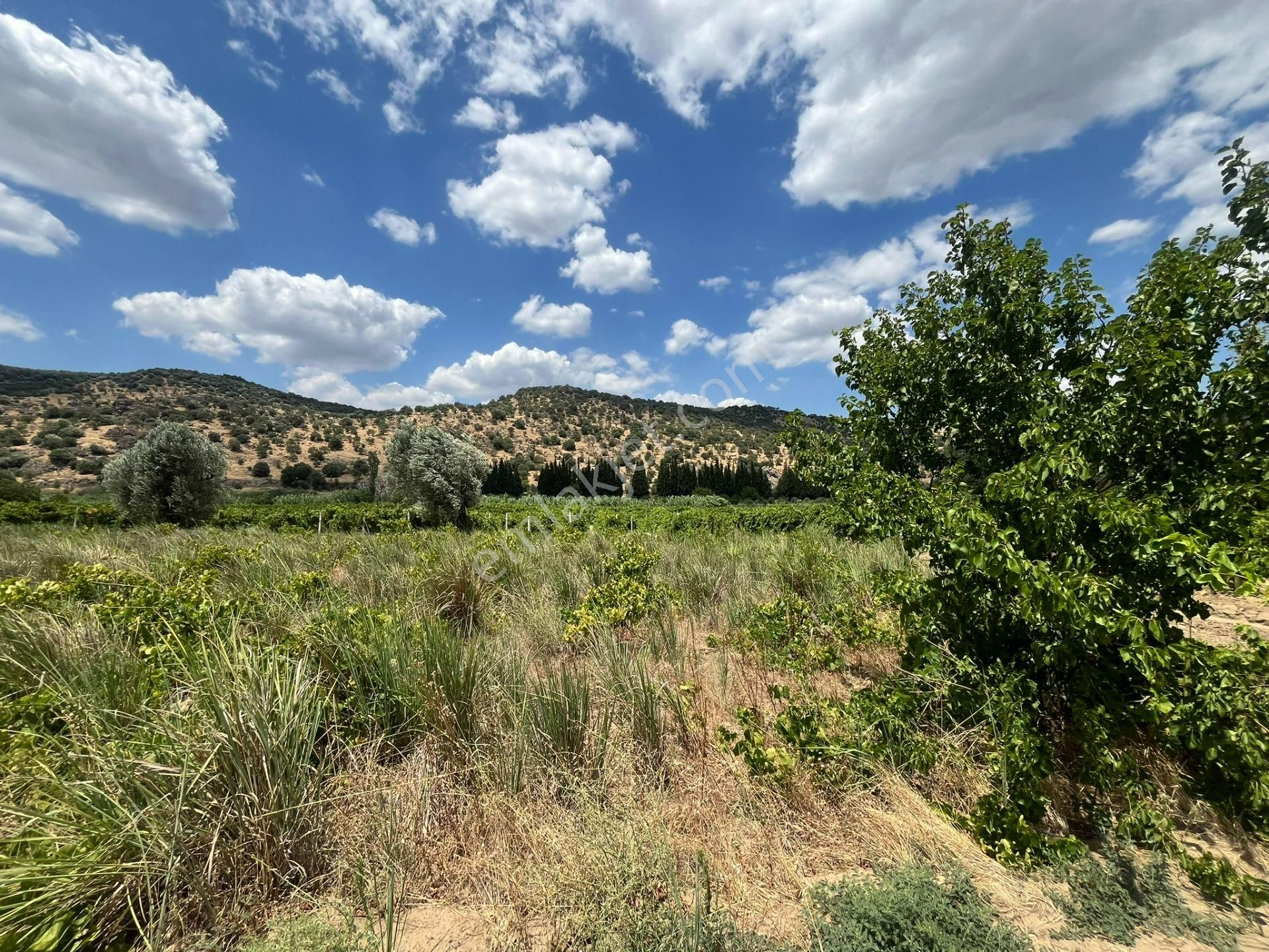 İzmir/menemen/bağcılar Mh:paylı Mülkiyetli Tarla - Görsel 21