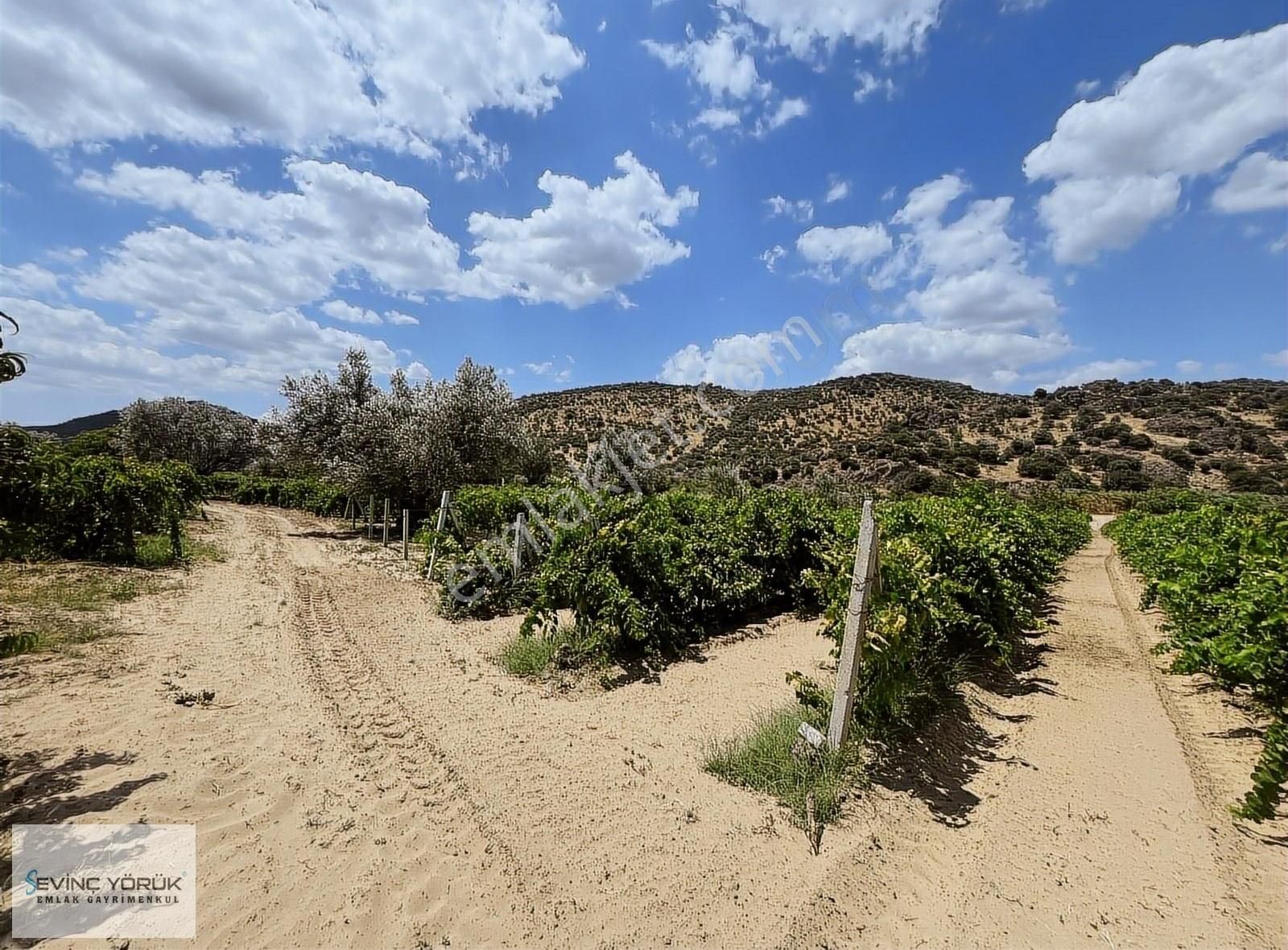 İzmir/menemen/bağcılar Mh:paylı Mülkiyetli Tarla - Görsel 6