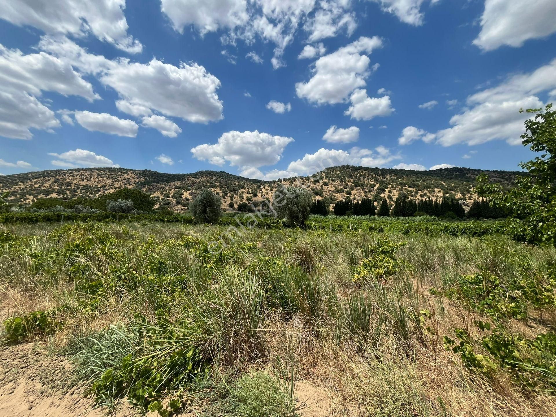 İzmir/menemen/bağcılar Mh:paylı Mülkiyetli Tarla - Görsel 20