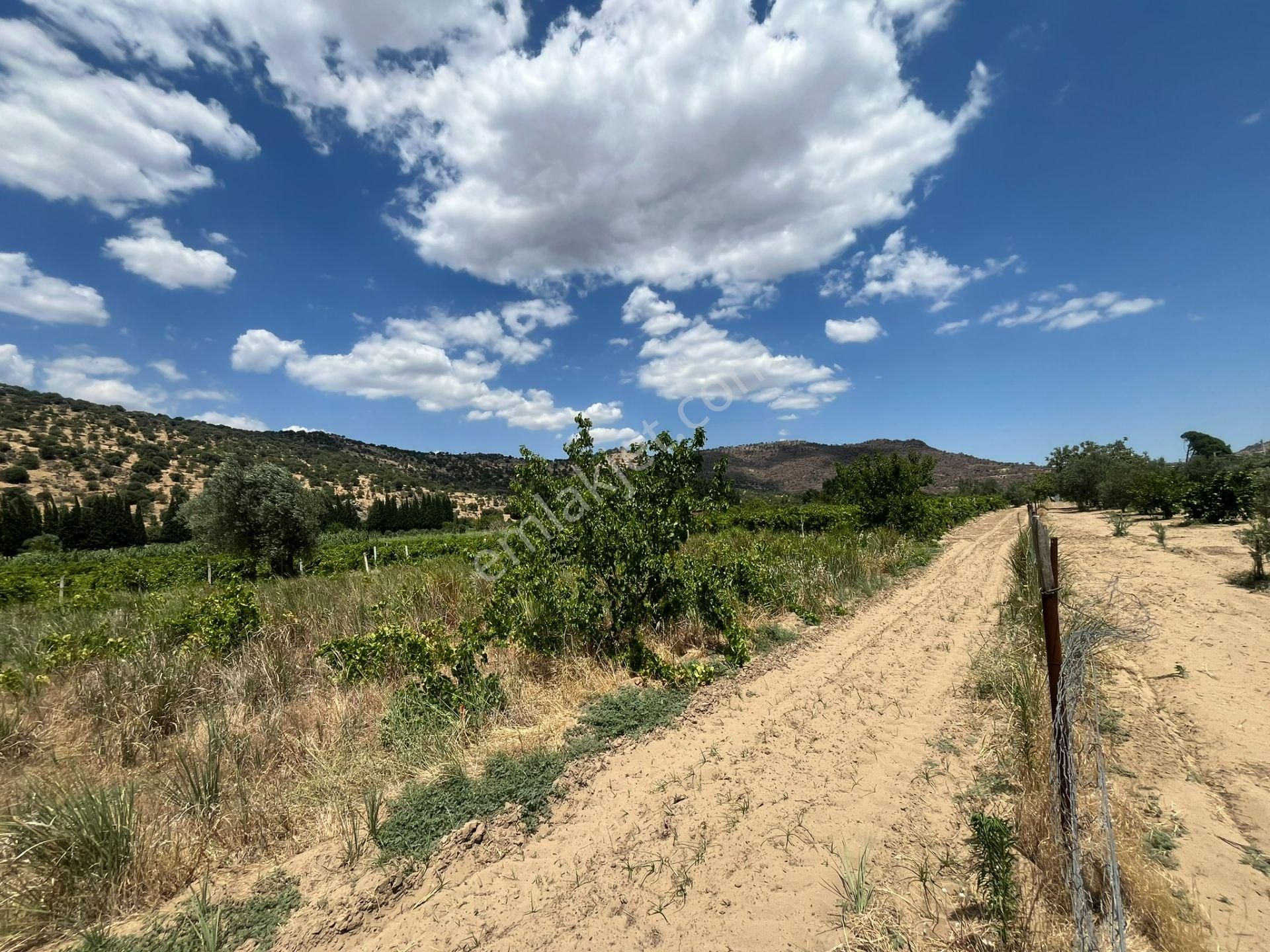 İzmir/menemen/bağcılar Mh:paylı Mülkiyetli Tarla - Görsel 9