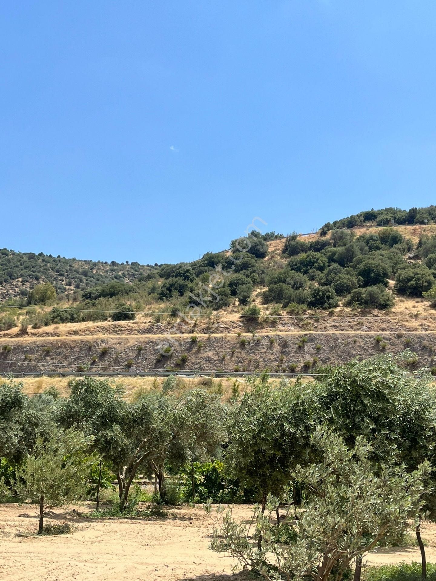 İzmir/menemen/bağcılar Mh:paylı Mülkiyetli Tarla - Görsel 24