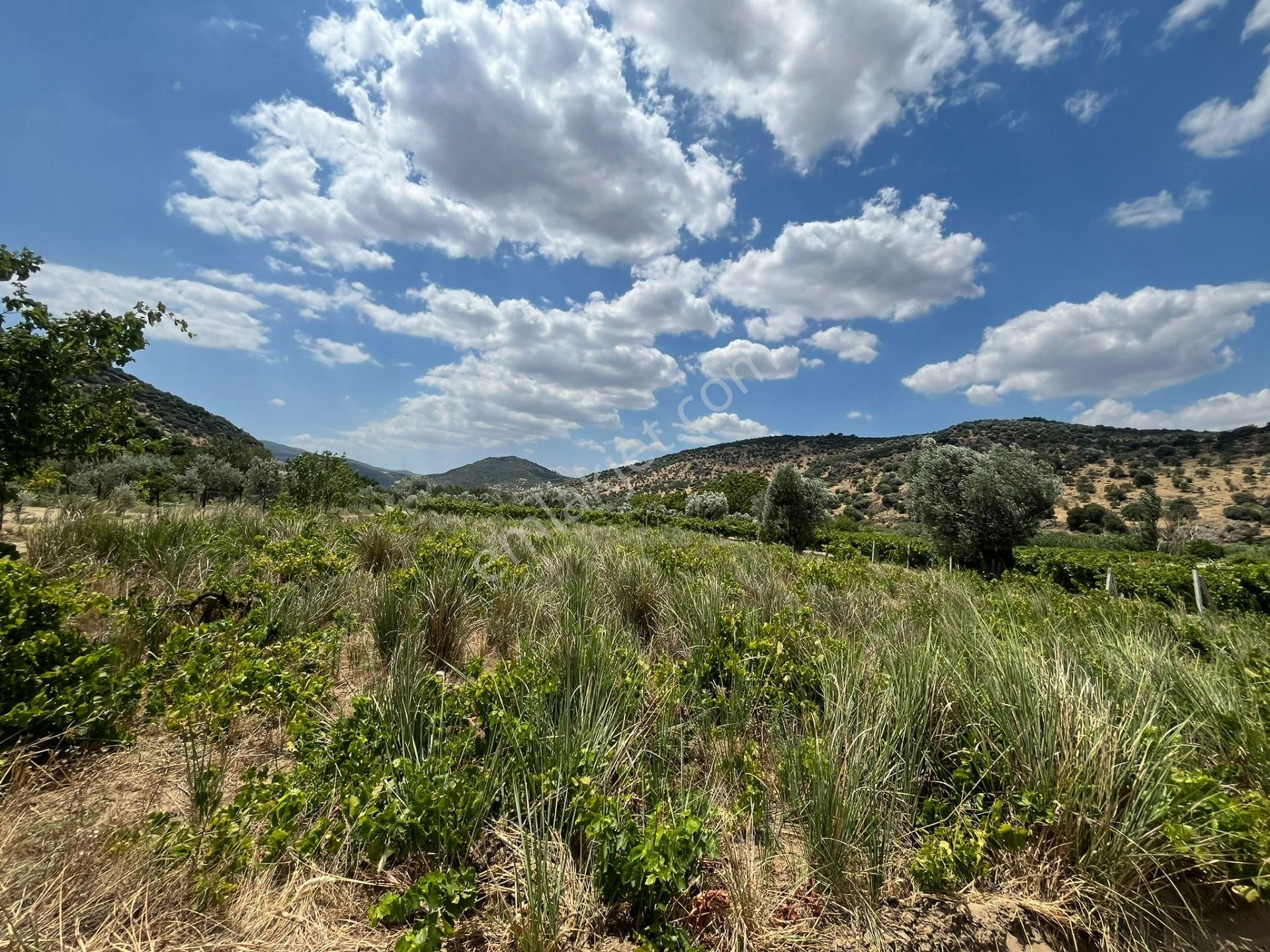 İzmir/menemen/bağcılar Mh:paylı Mülkiyetli Tarla - Görsel 32