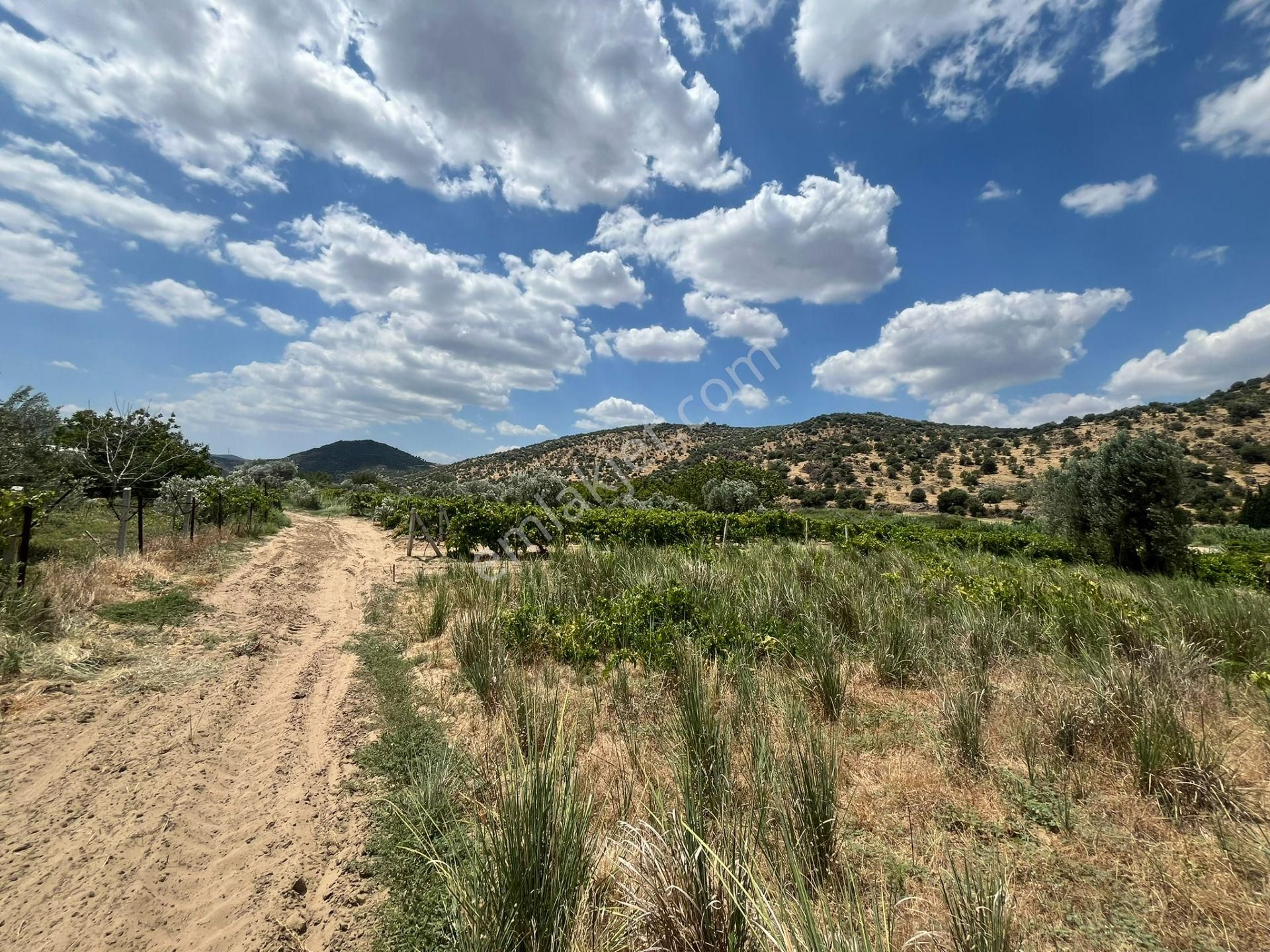 İzmir/menemen/bağcılar Mh:paylı Mülkiyetli Tarla - Görsel 11