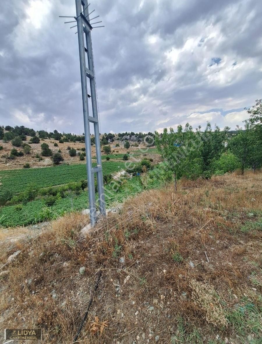 Erdemli Sorgun Satılık Bağ & Bahçe LİDYA UFUK UYANIK'TAN SATILIK BAHÇE