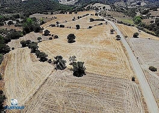 Biga Gürçeşme Köyü Satılık Tarla Biga Gürçeşme Köyünde 19.750 M2 Satılık Tarla