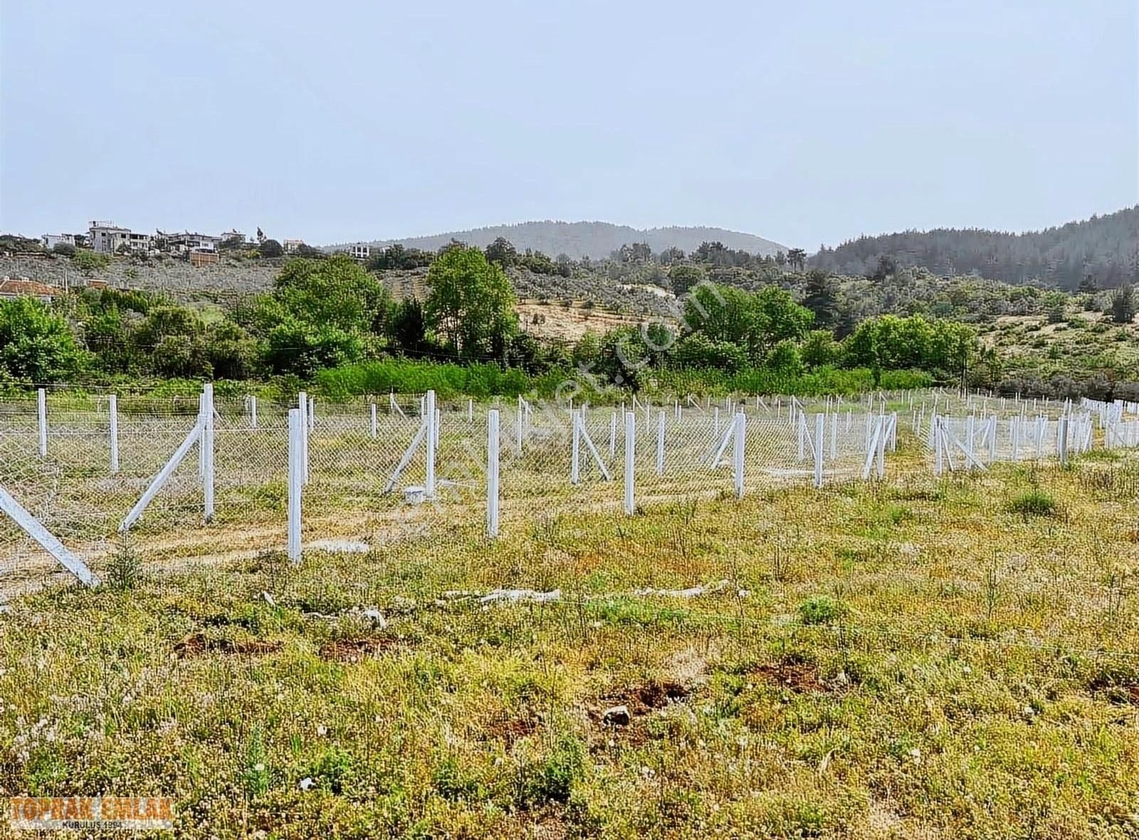 Kuşadası Yeniköy Satılık Tarla Kuşadası Yeni Köyde Satıllık Hoby Bahçesi