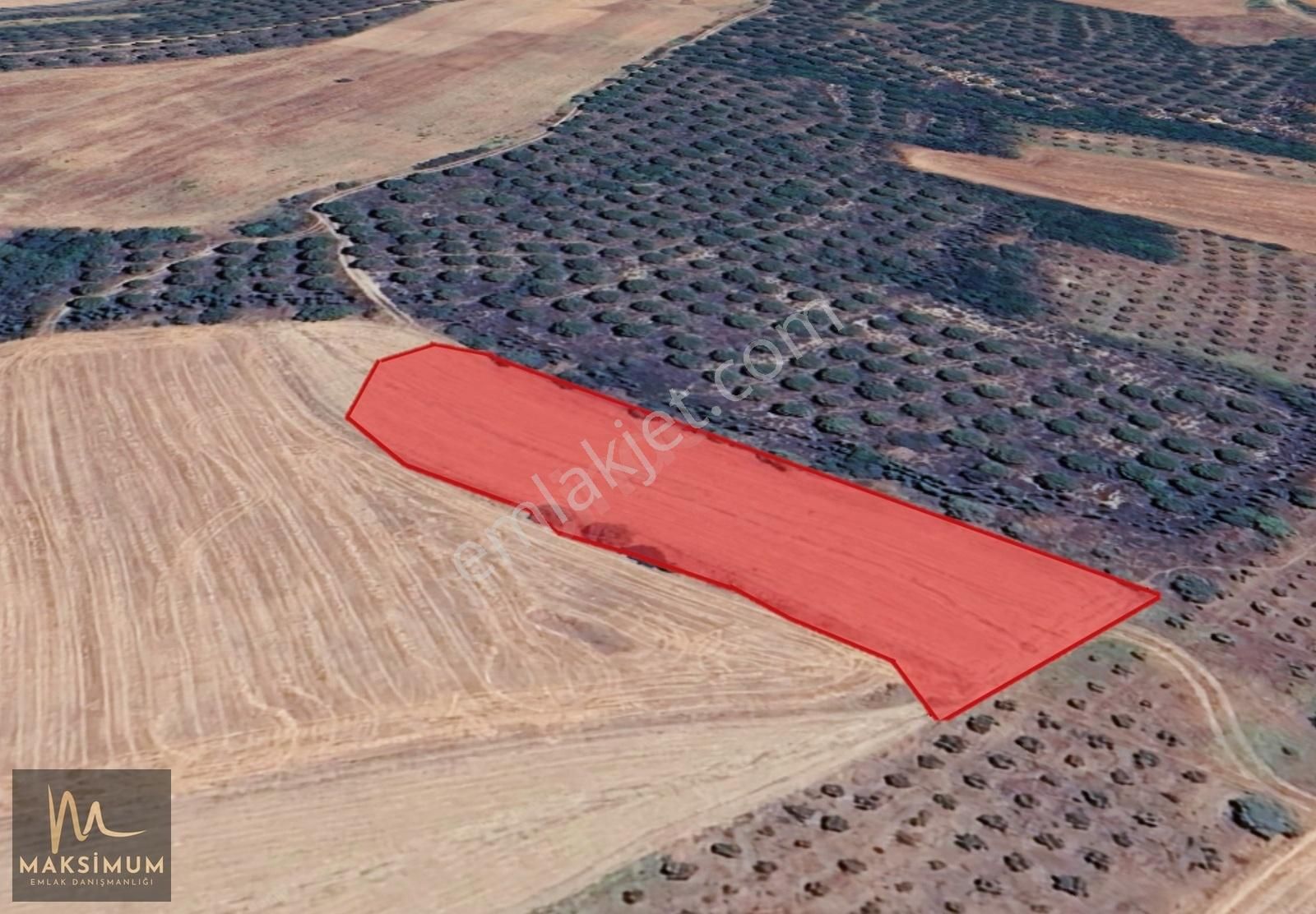 Biga Değirmencik Köyü Satılık Tarla ÇANAKKALE BİGA DEĞİRMENCİK KÖYÜ'NDE SATILIK 5000 m² TARLA