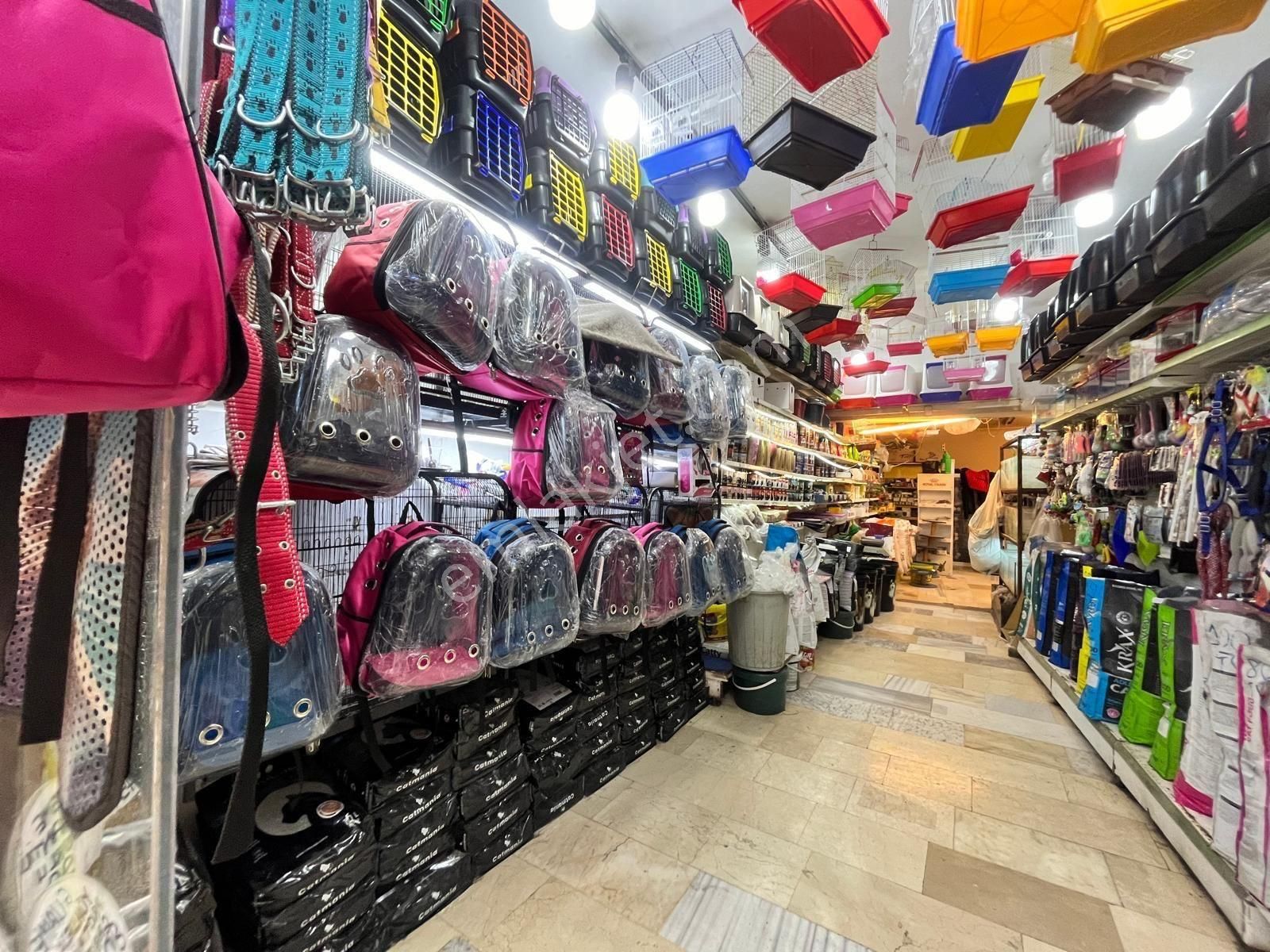 Saltoğlundan Çancıların En Güzel Yerinde 2 Katlı Dükkan - Görsel 9