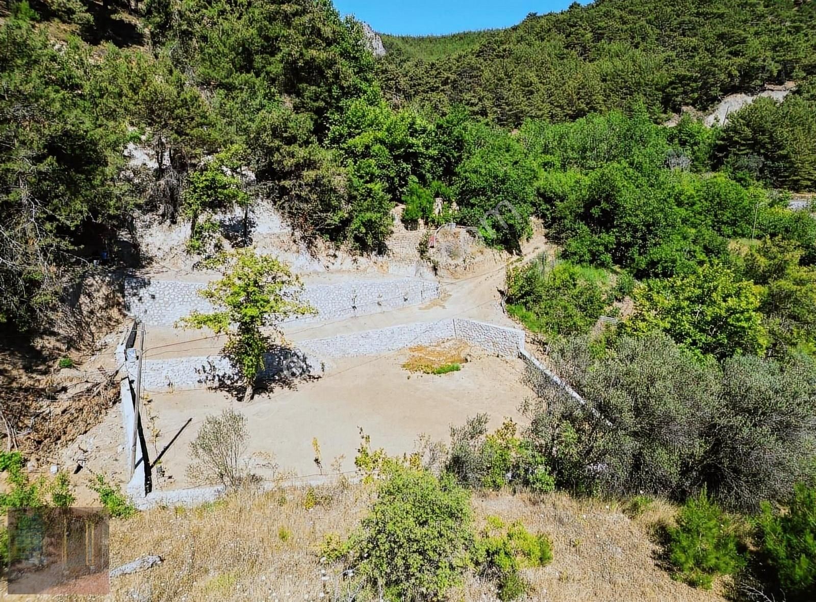 Ayvacık Nusratlı Köyü (Küpyanı) Satılık Bağ & Bahçe GÜÇLÜ KARDEŞLER AYVACIK NUSRATLI'DA SATILIK 700m2 BAHÇE