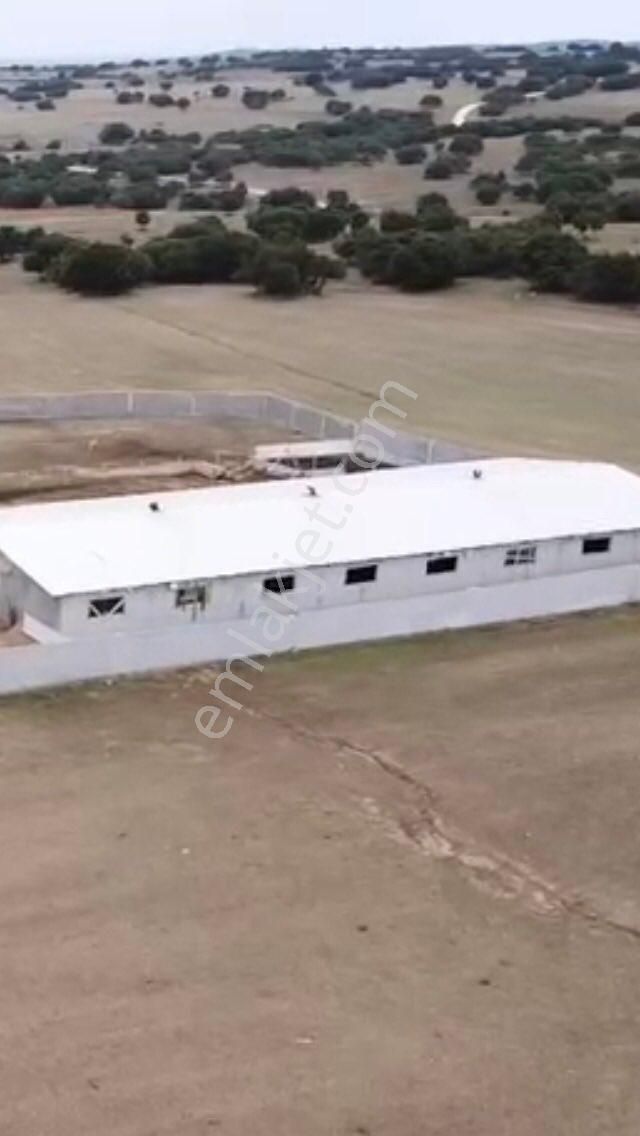 Kırklareli Merkez Uskup Beldesinde Satılıklar Cıflık - Görsel 5