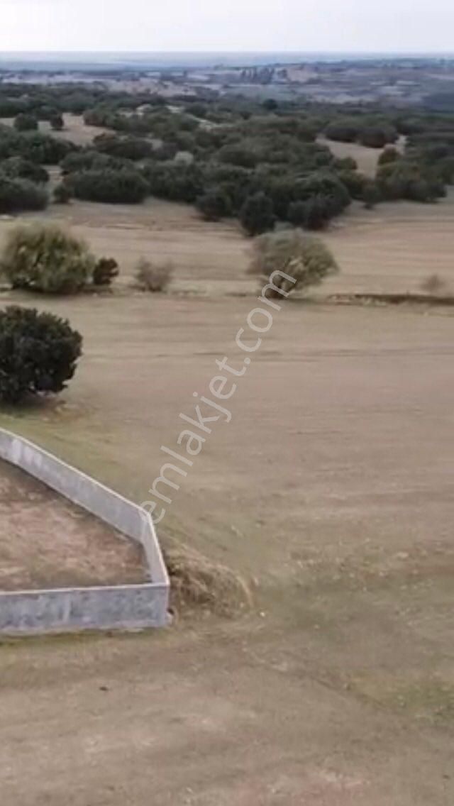 Kırklareli Merkez Uskup Beldesinde Satılıklar Cıflık - Görsel 6