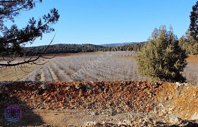 Erdemli Yağda Satılık Tarla OLBA GRUPTAN YAĞDA MAHALLESİNDE SATILIK 45 DÖNÜM ARSA