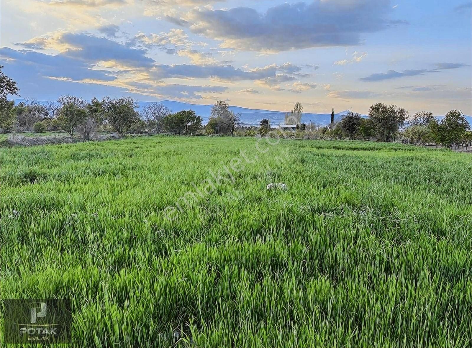 Burdur Merkez Askeriye Köyü (Aşağı Tekkeönü) Satılık Tarla BURDUR ASKERİYE KÖYÜNDE 3.852 M2 SATILIK BAĞ