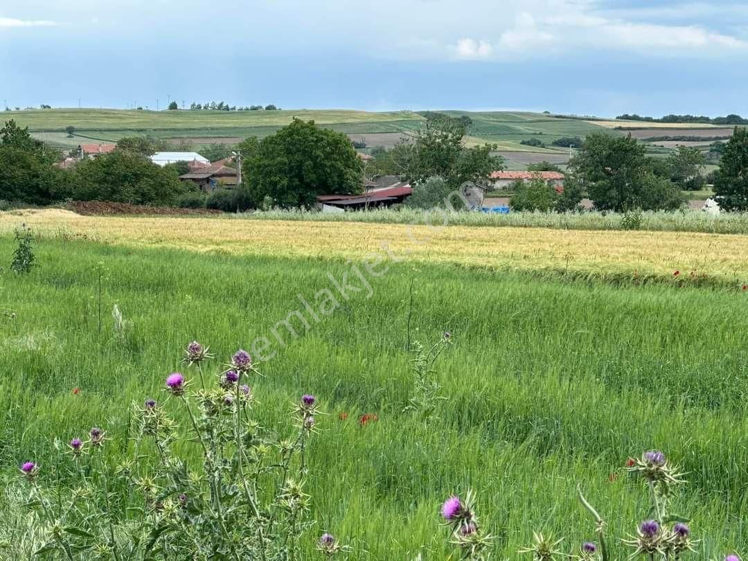 Çatalca Gökçeali Satılık Tarla ÇATALCA GÖKÇEALİ'DE SATILIK ARSA