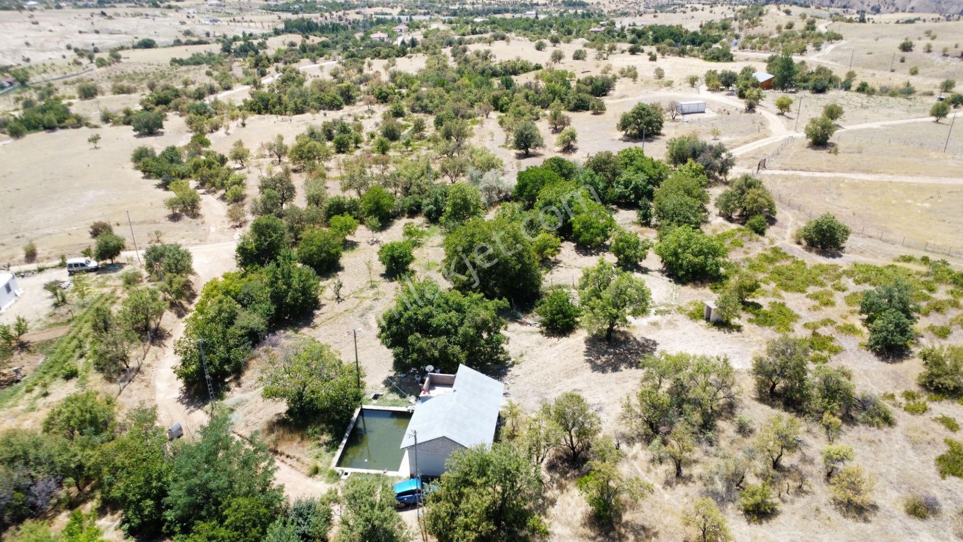 Elazığ Merkez Üçağaç Köyü (Çırak) Satılık Bağ & Bahçe  AŞAĞI ÇAKMAKTA SATILIK 3965 M2 BAHÇE