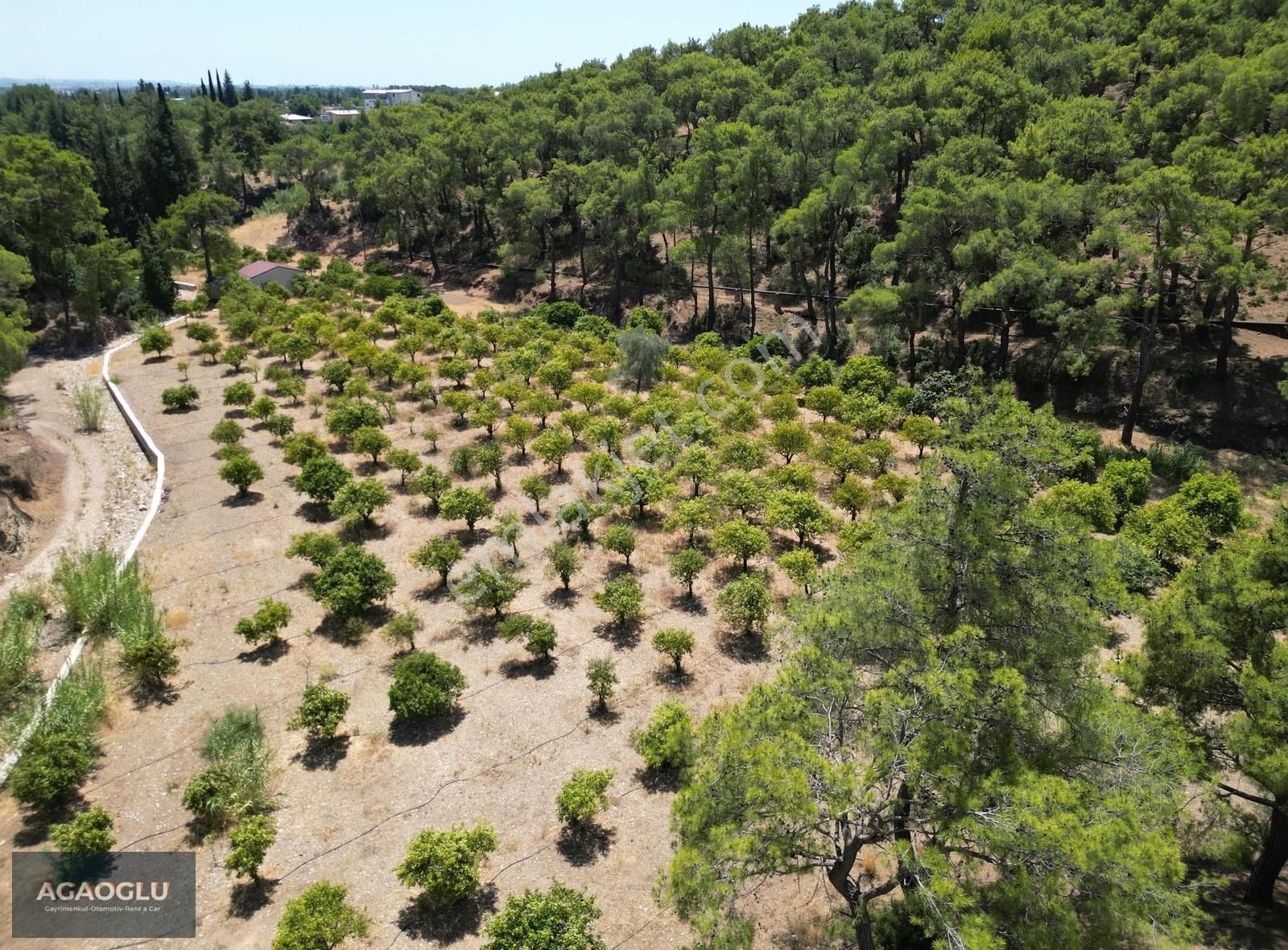 Konyaaltı Doyran Satılık Tarla KONYAALTI/DOYRAN MAH. MERKEZ DE 15000 M2 EV , SU VE ELEKTİRİK