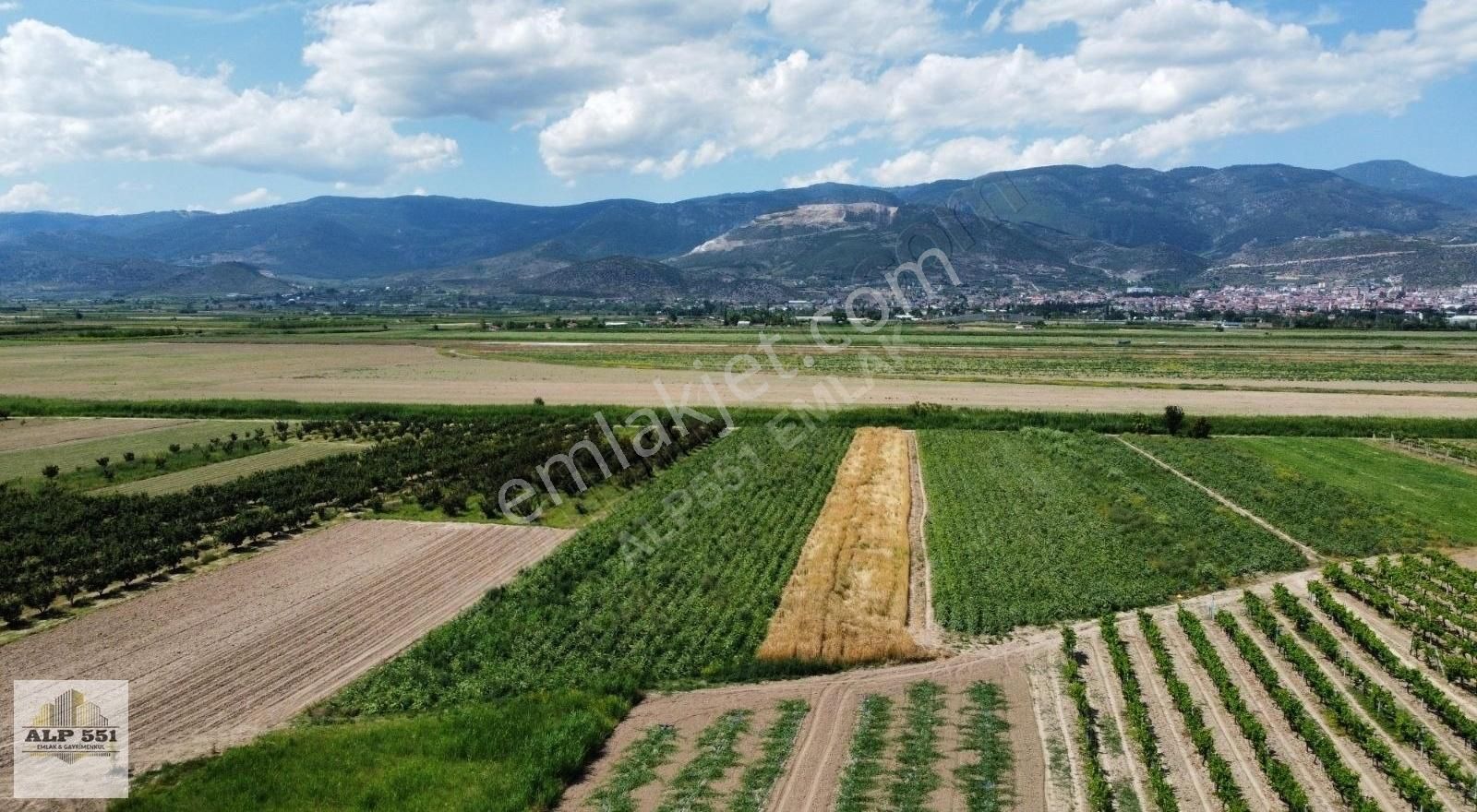 Pamukova Cihadiye Satılık Tarla CİHADİYE MAHALLESİNDE 1575 m² SATILIK TARLA