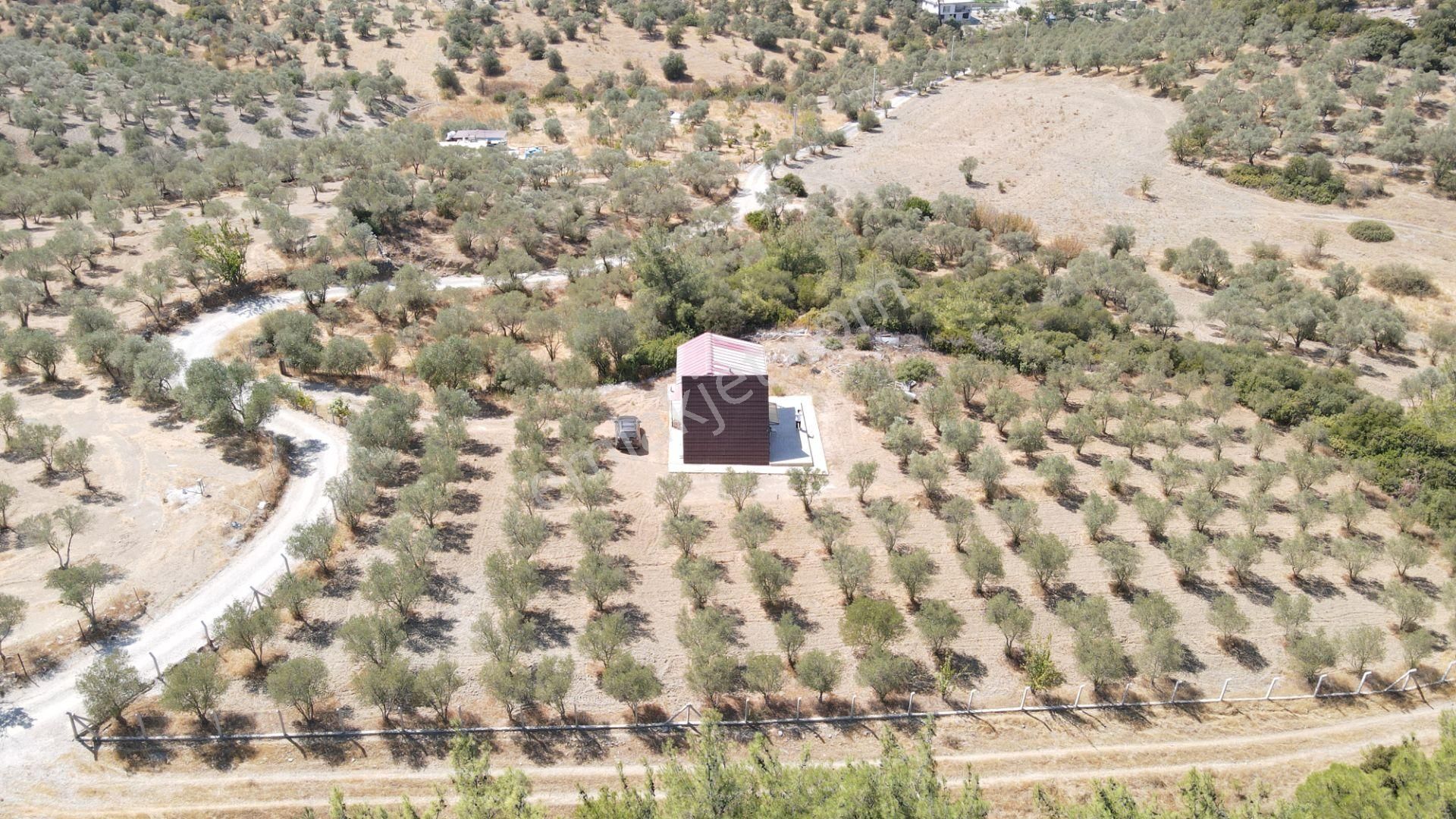 İzmir Ataköy'de Satılık Tek Tapu 2.260 M2 Muhteşem Dağ Evi Zeytinlik - Görsel 19