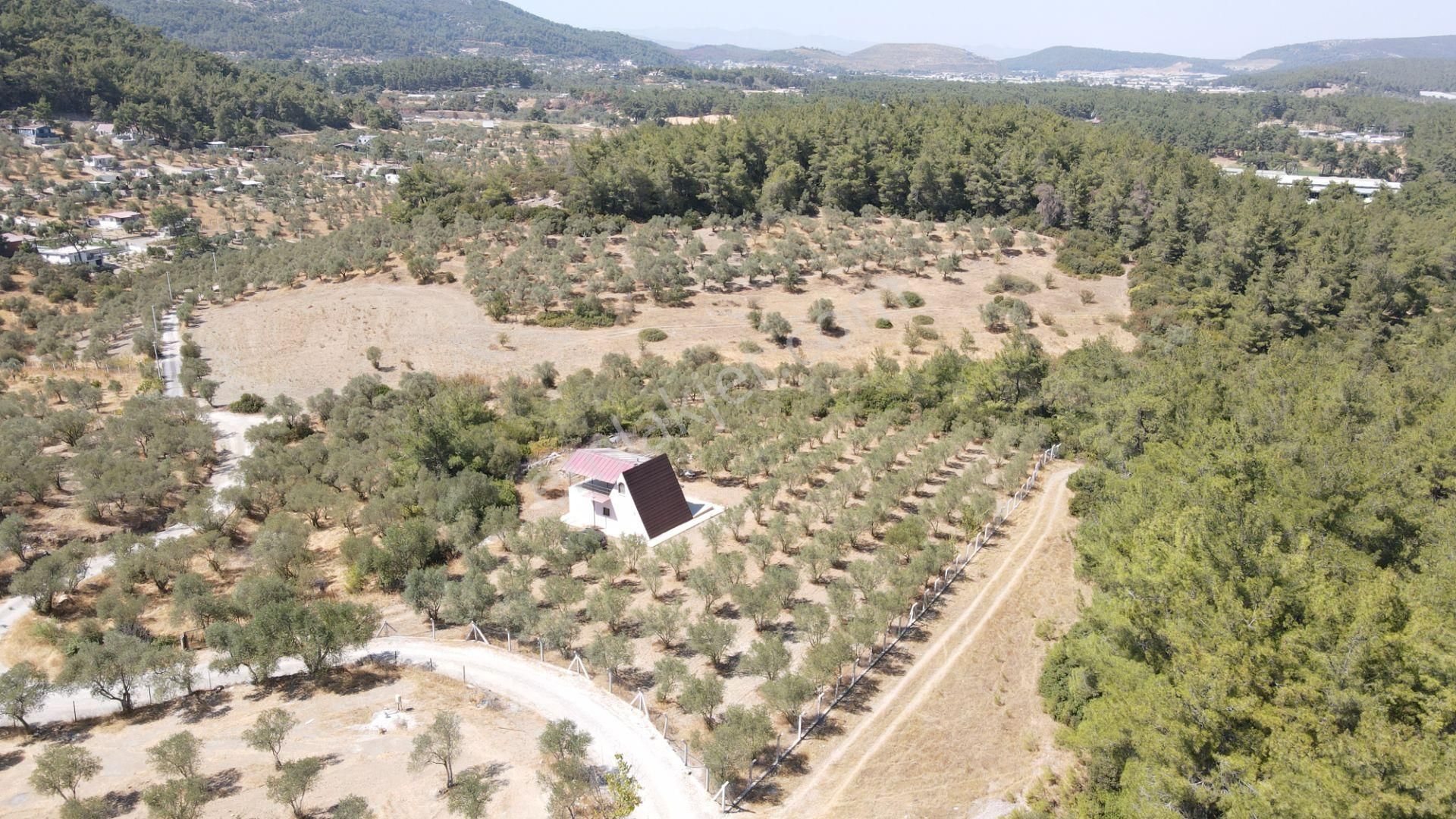 İzmir Ataköy'de Satılık Tek Tapu 2.260 M2 Muhteşem Dağ Evi Zeytinlik - Görsel 25