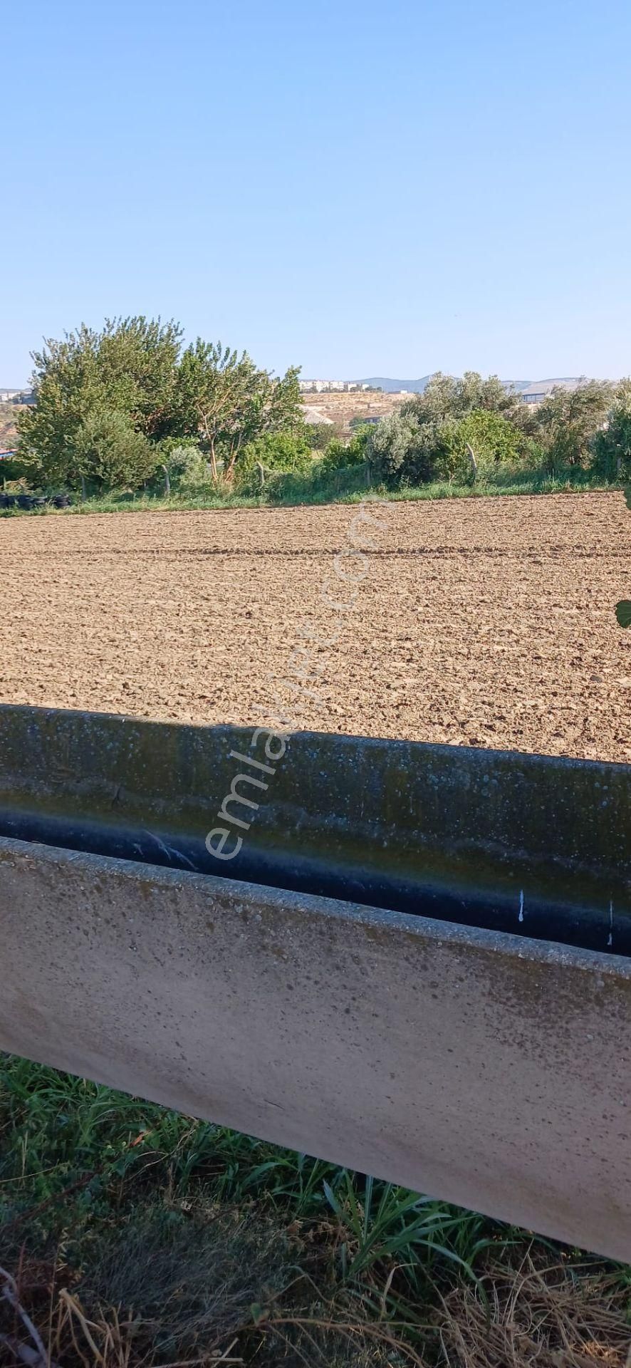 Acil...menemen Ahıhıdır'da Satılık 7621 M2 Yatırımlık Arazi.... - Görsel 11