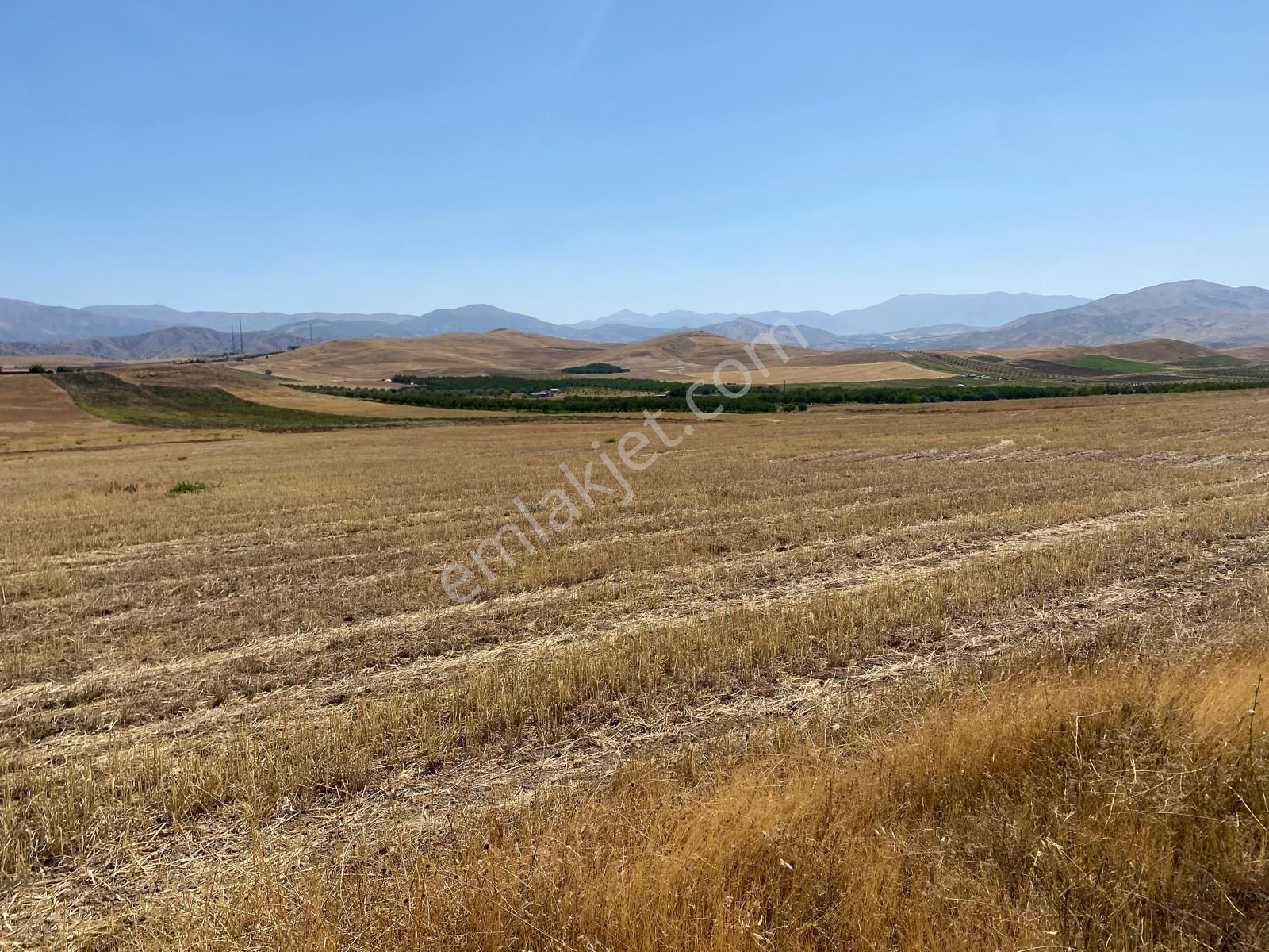 Battalgazi Şişman Satılık Arazi Berat Atabey Emlaktan Şişman Köyünde Satilik Arazi