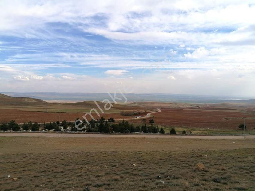 Ayaş Tekke Satılık Konut İmarlı Ankara Ayaş Tekke Mahallesinde Satılık İmarlı Arsa