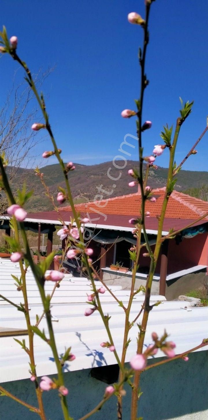 Gönen Yürükkeçidere Satılık Köy Evi MÜSTAKİL KÖY EVİ