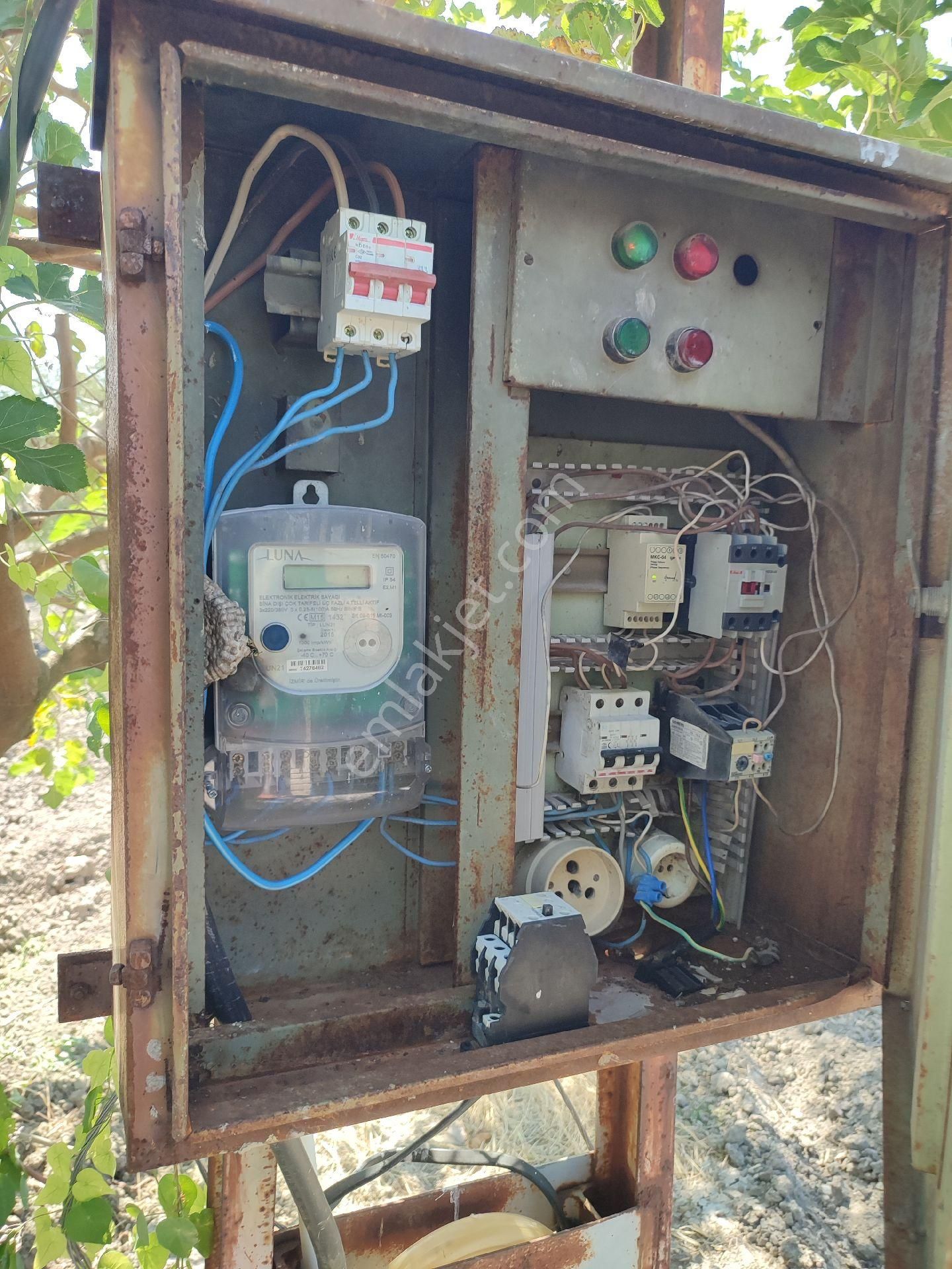Utku Gayrimenkulden Manisa Akhisar Dayıoglu Mahallesinde Elektrik Sulu Satılık Zeytinlik - Görsel 6
