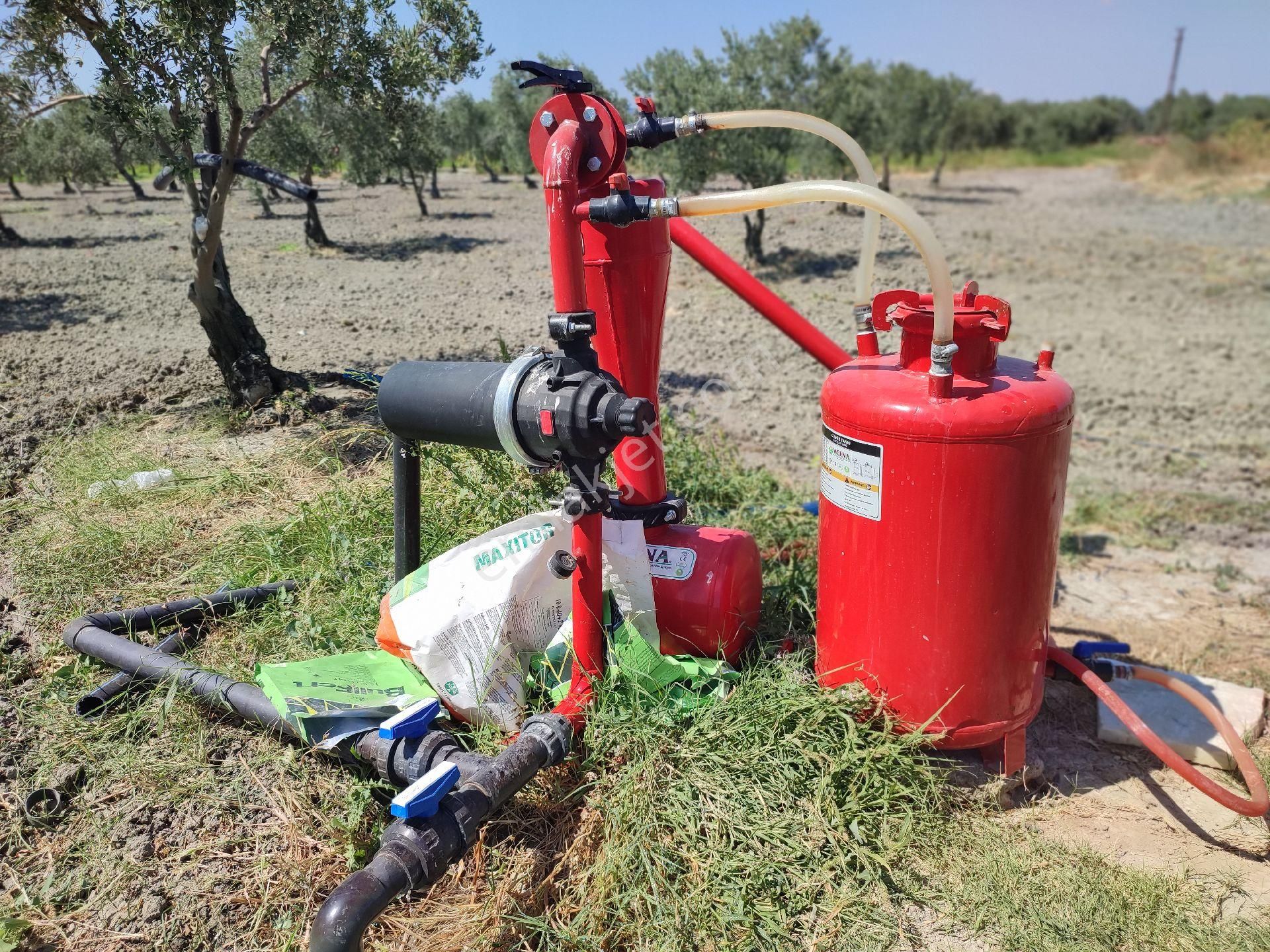 Utku Gayrimenkulden Manisa Akhisar Dayıoglu Mahallesinde Elektrik Sulu Satılık Zeytinlik - Görsel 5