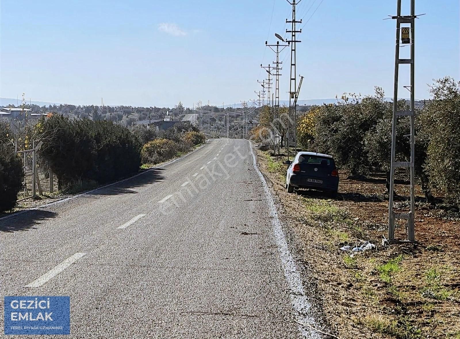 Kilis Merkez Öncü Pınar Satılık Zeytinlik Gezici Emlak'tan Kuru Kastelde 10 Numara Bağevlik Zeytinlik