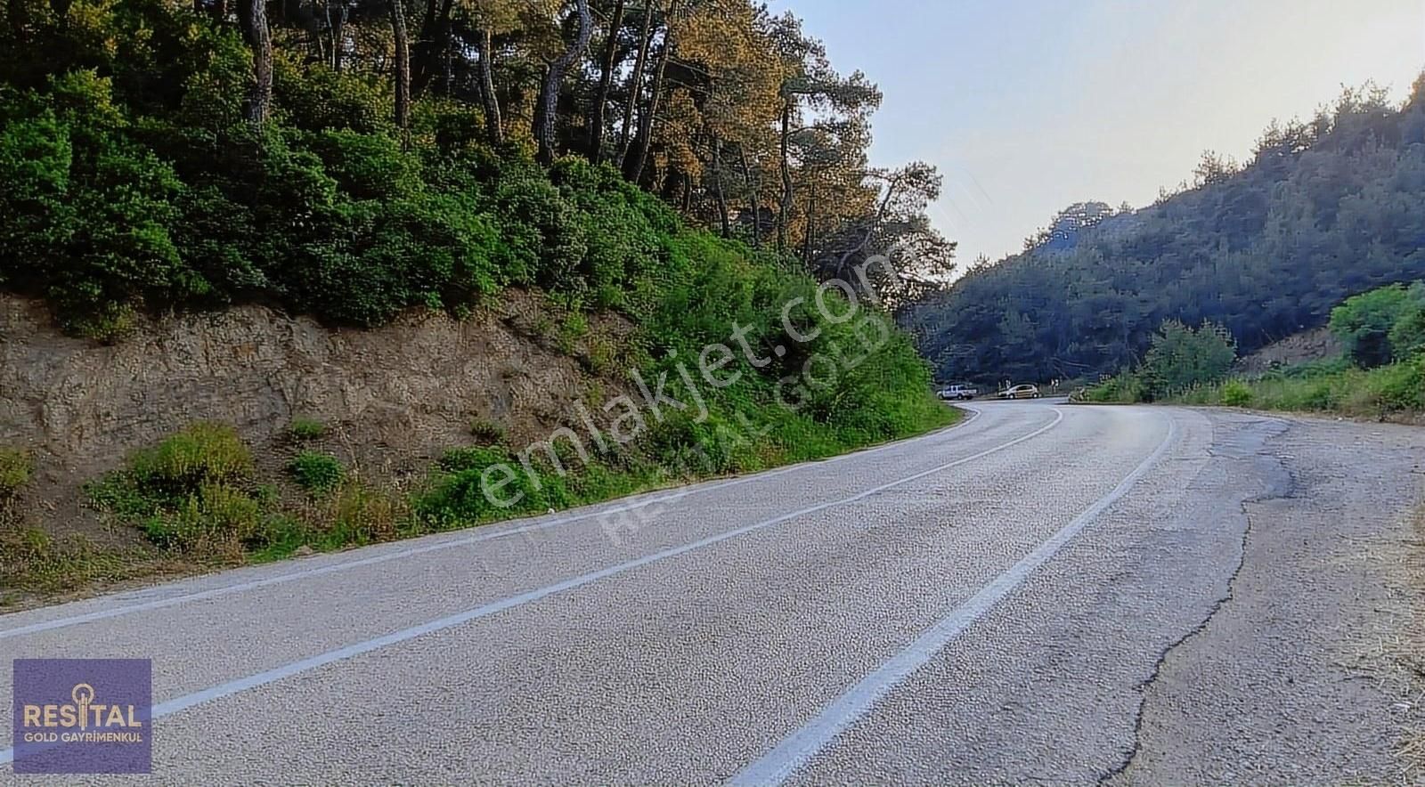 Mudanya Orhaniye Satılık Zeytinlik MUDANYA SATILIK TARLA