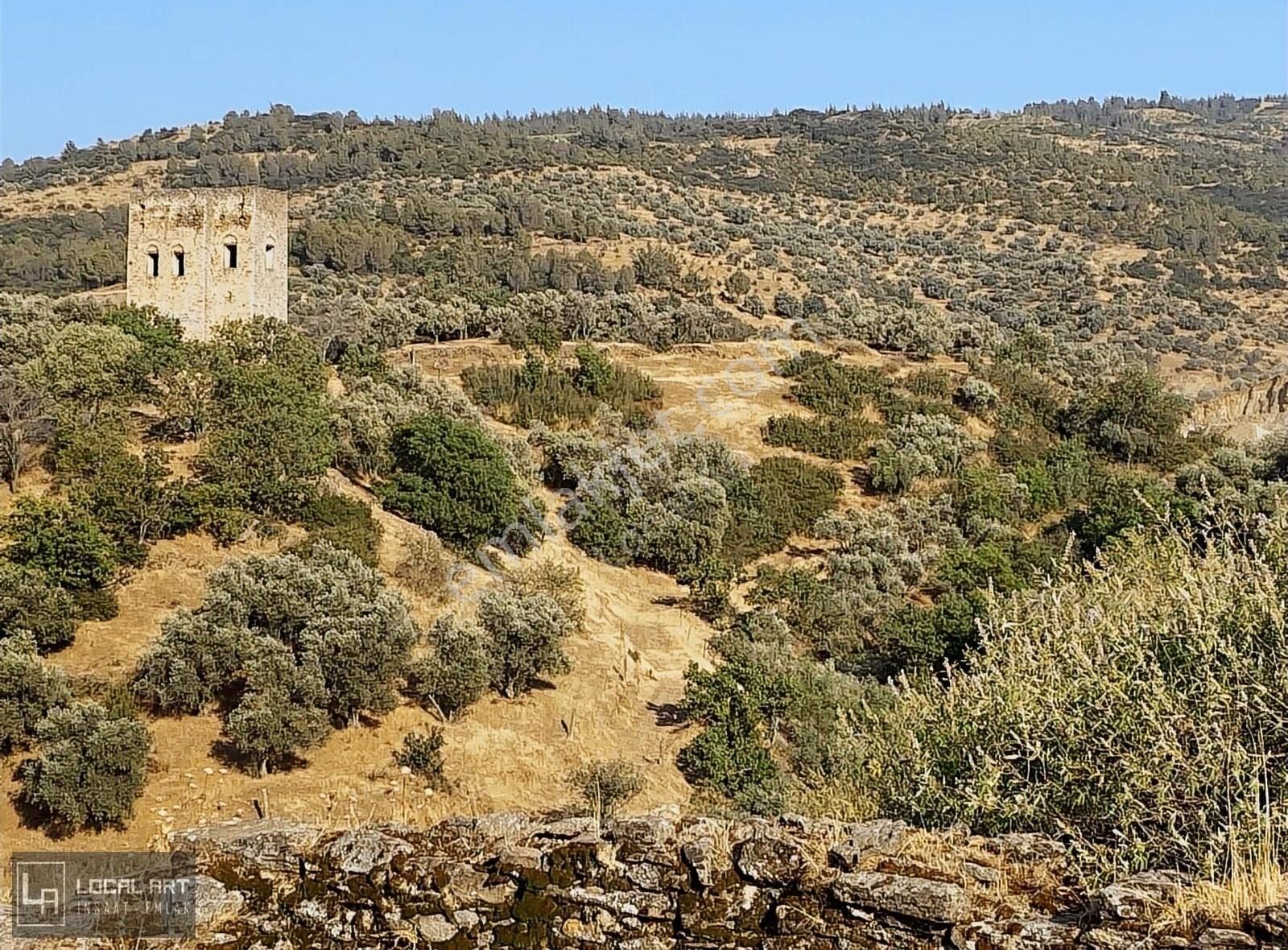 Yenipazar Donduran Satılık Konut İmarlı Yenipazar Donduran Mahallesinde Satılık 493 M2 Konut arsası