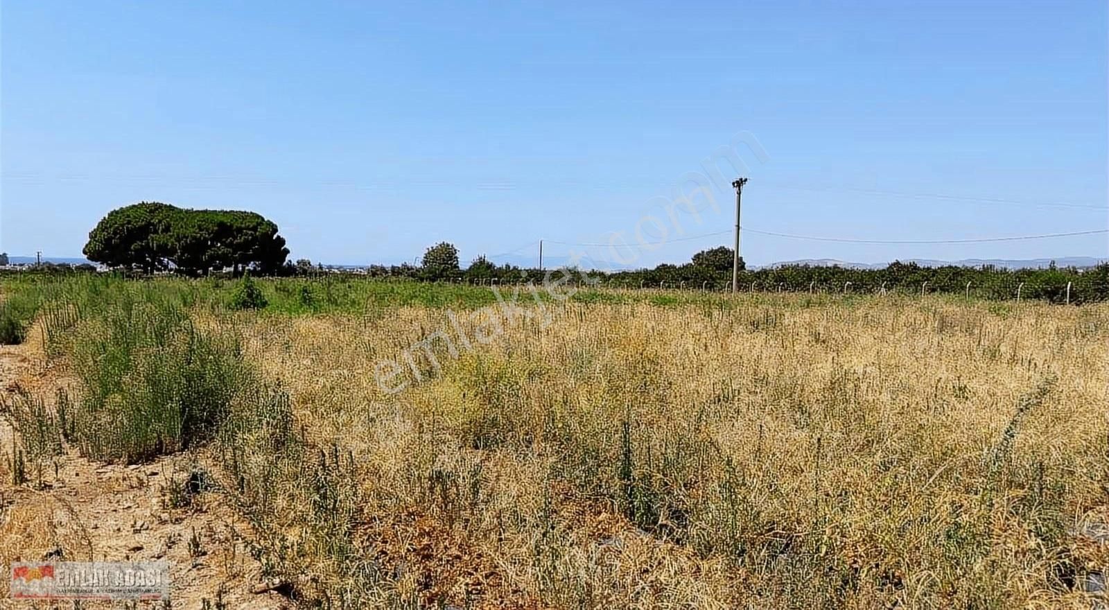 Kuşadası Davutlar Satılık Tarla Kuşadası Davutlar'da deniz manzaralı satılık tarla