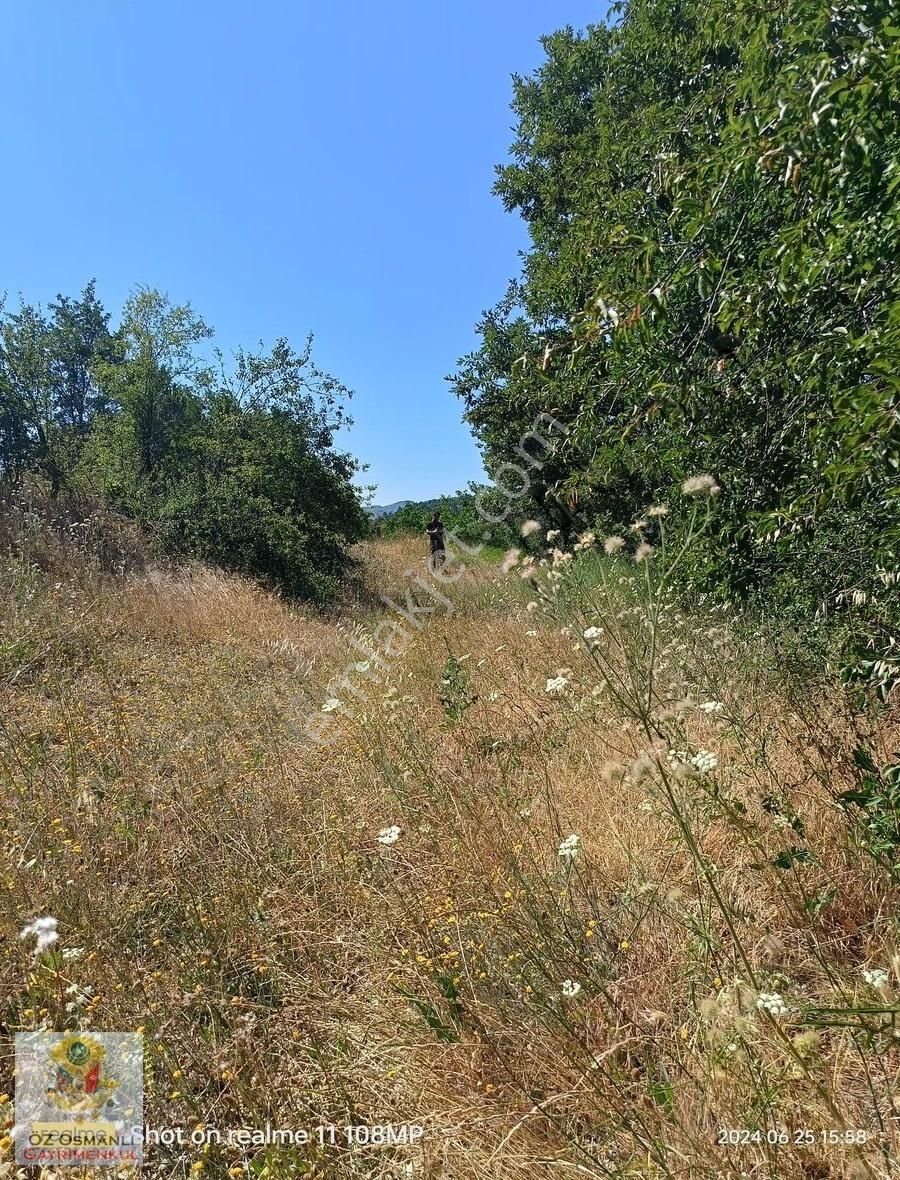 Yenipazar Esenköy Köyü (Tekeciler) Satılık Tarla ASFALTA 500 METRE MESAFEDE 1.120 M2 SATILIK YATIRIM ARAZİSİ