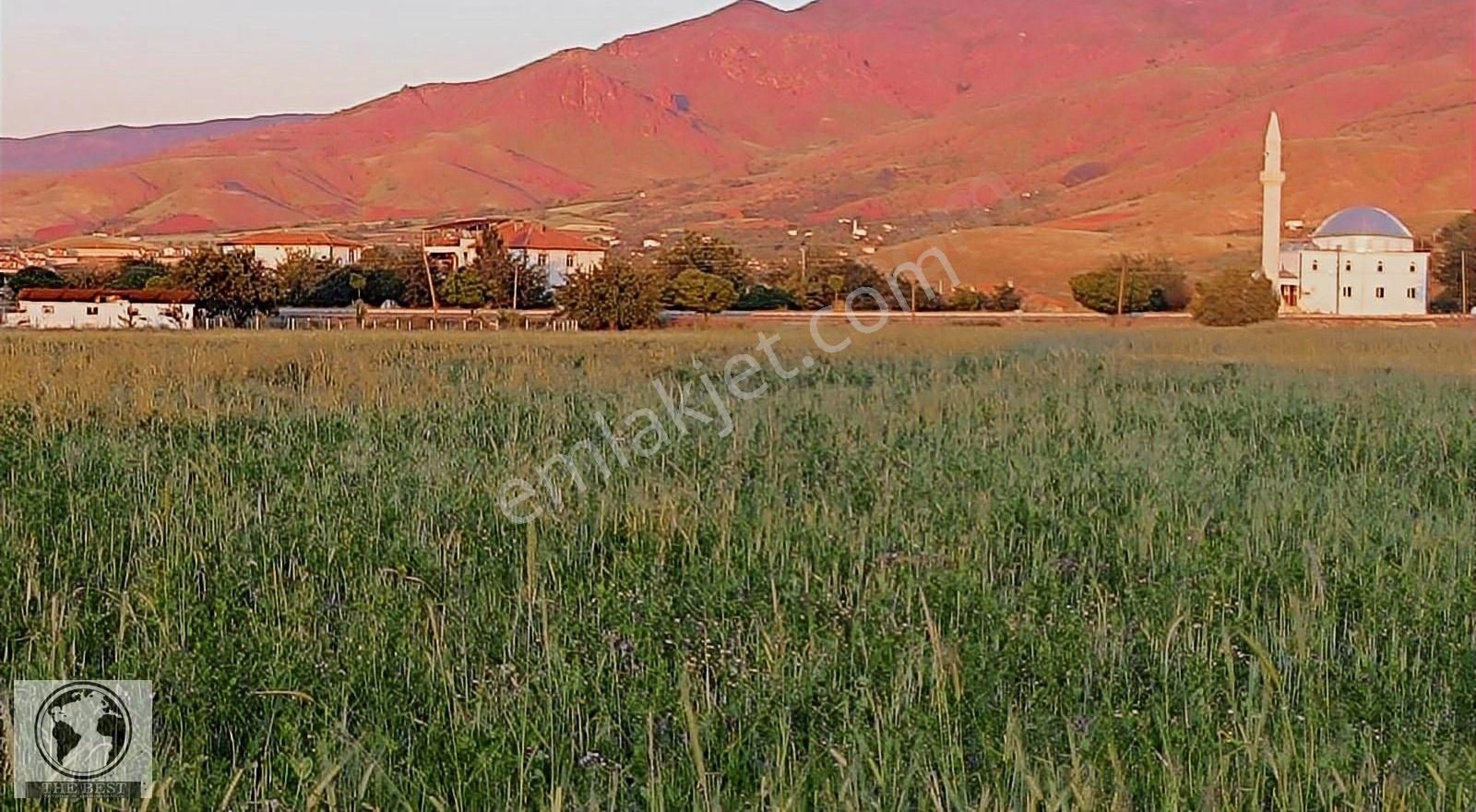 Elazığ Merkez Gözebaşı Köyü (Yeşilyurt) Satılık Tarla The Best'ten Kinederiç'te ( Gözebaşı) Satılık Yatırımlık Tarla