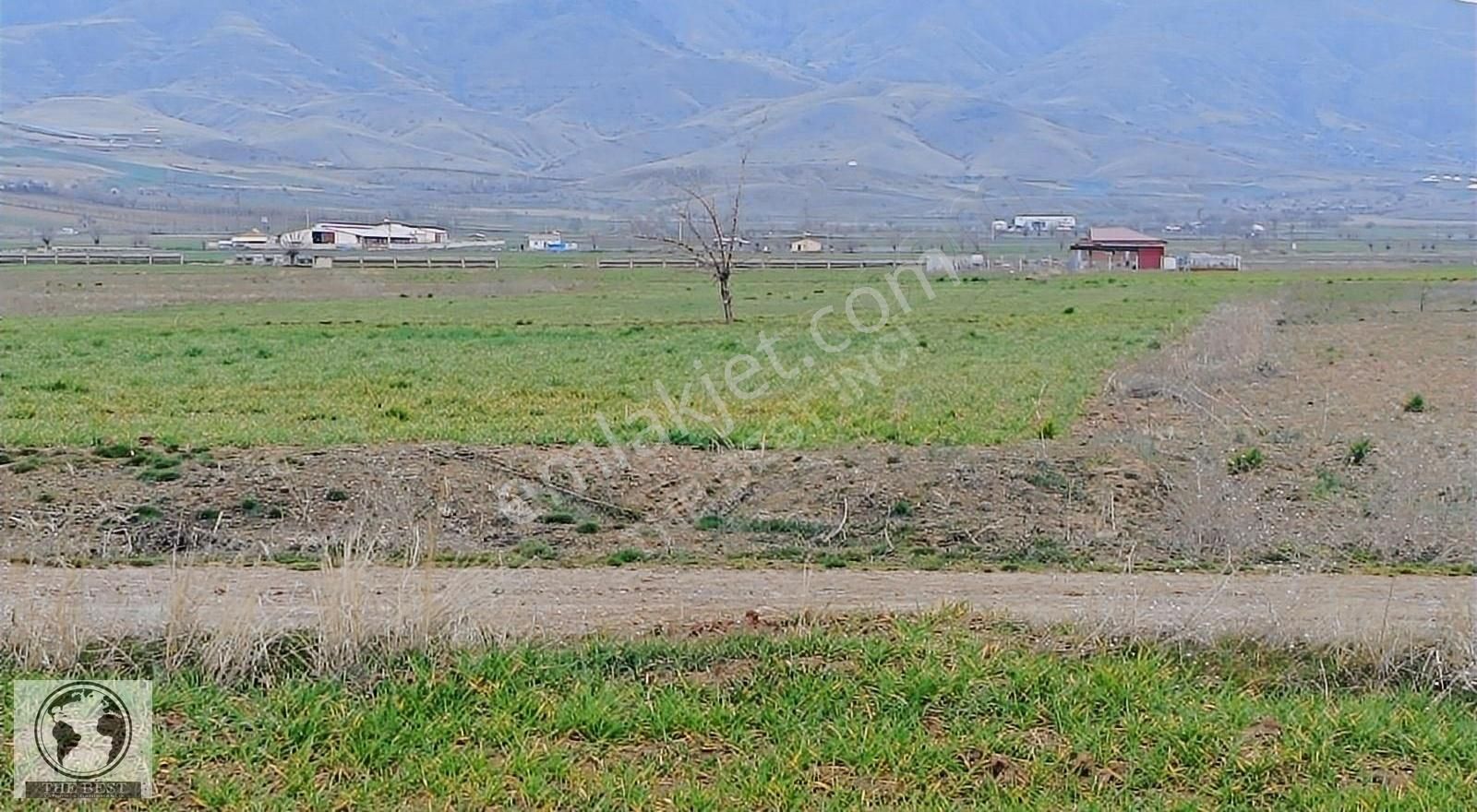 Elazığ Merkez Akçakiraz Bld. (Bahçekapı) Satılık Tarla THE BEST'DEN ŞİNTİL ( BAHÇEKAPI) DE SATILIK YATIRIMLIK TARLA