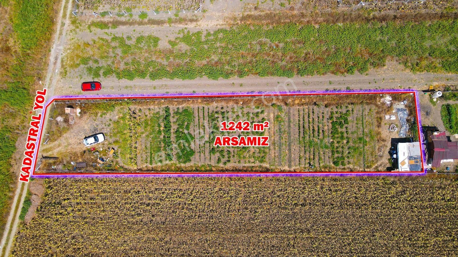 Silivri Seymen Mahallesinde 1.242 M2 Etrafı Telle Çevrili Satılık Çardaklı Su Kuyulu Bahçe - Görsel 3