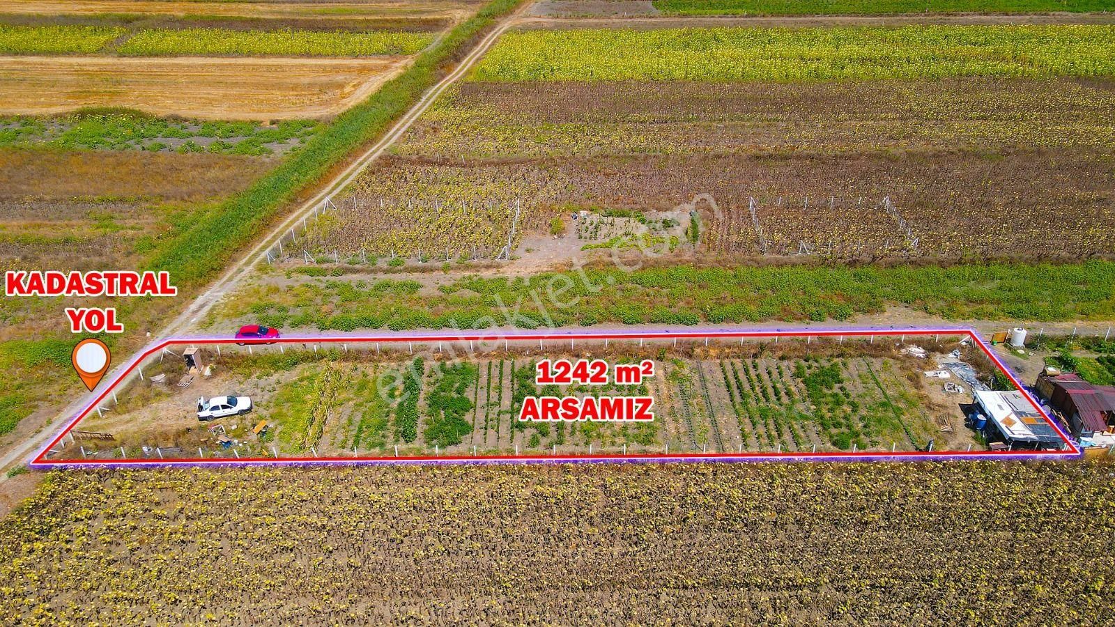 Silivri Seymen Mahallesinde 1.242 M2 Etrafı Telle Çevrili Satılık Çardaklı Su Kuyulu Bahçe - Görsel 2