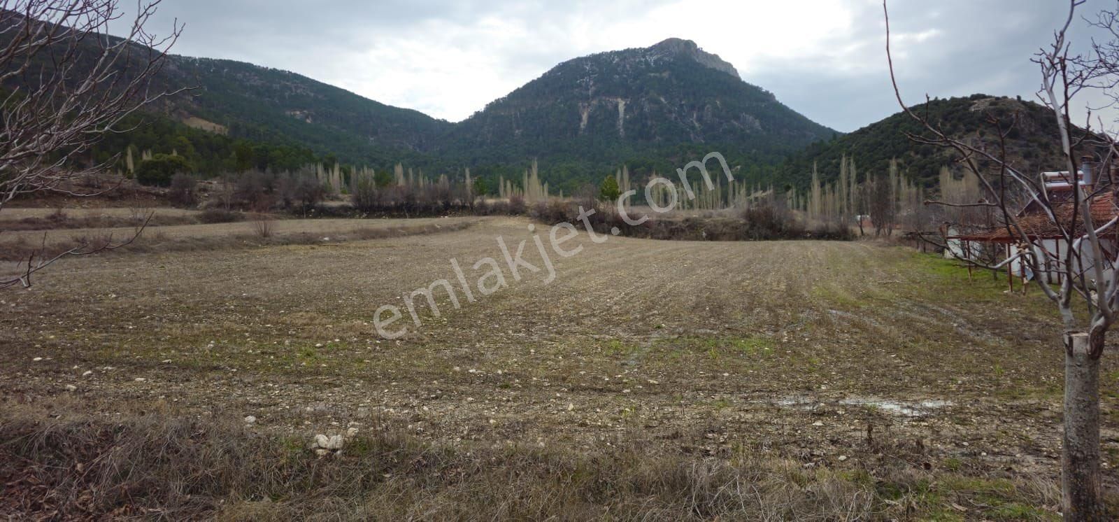 Gölhisar Elmalıyurt Köyü (Balcılar) Satılık Tarla Burdur Gölhisar Tek Tapu Tarla