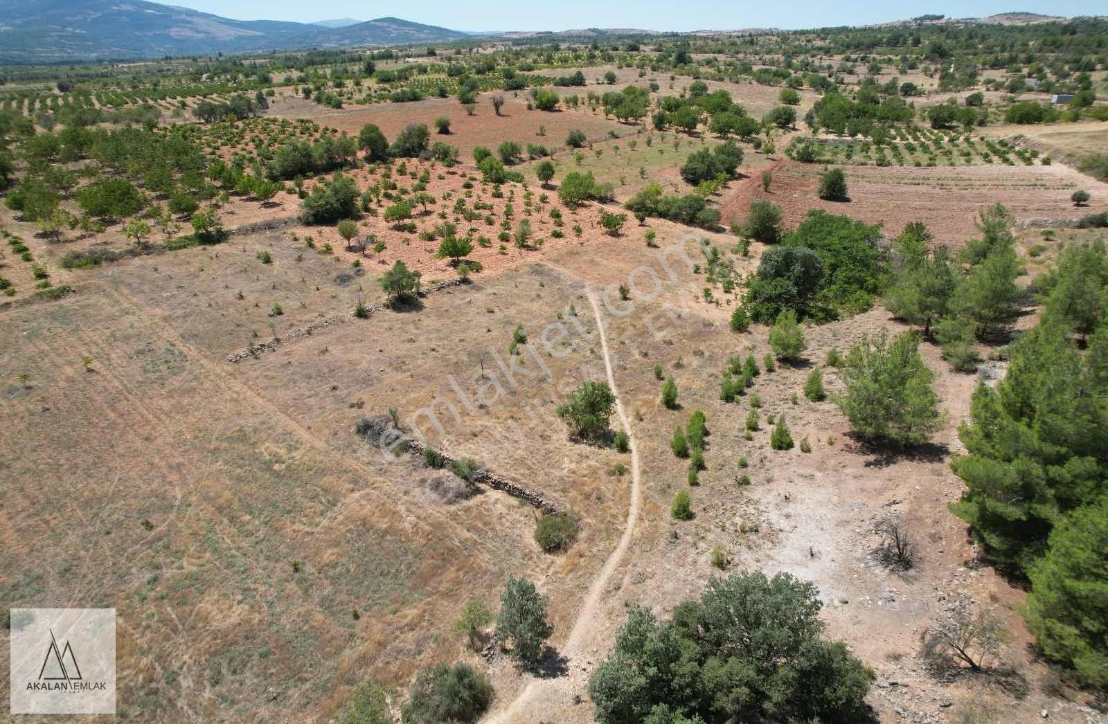 Mahalle Merkezine Yakın Mesafede Uygun Fiyata 6 Dönüm Tarla - Görsel 9