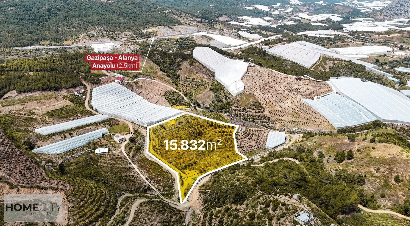 Alanya İmamlı Satılık Tarla ALANYA 15.832M2,700 TANE AĞAÇLI,350 TON SULAMALI,GAZİPAŞA'YA 9KM