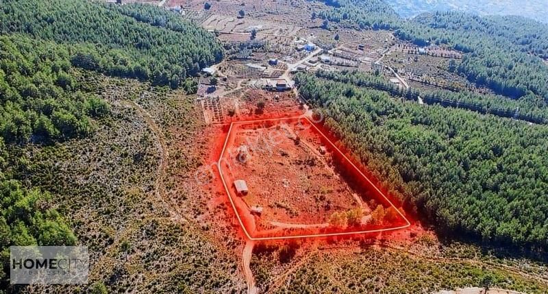 Alanya 16.521m2 Tiny House Projeli,merkeze 3 Km,kaleye 3 Km.!!!! - Görsel 3