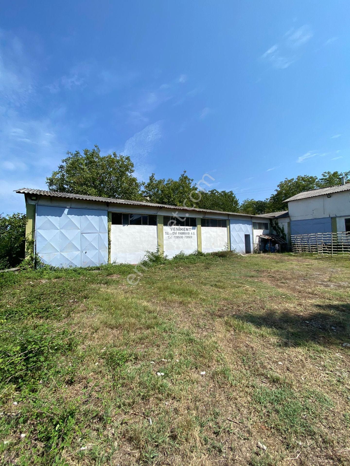 Gerze Yenikent'de Satılık Fabrika - Görsel 7