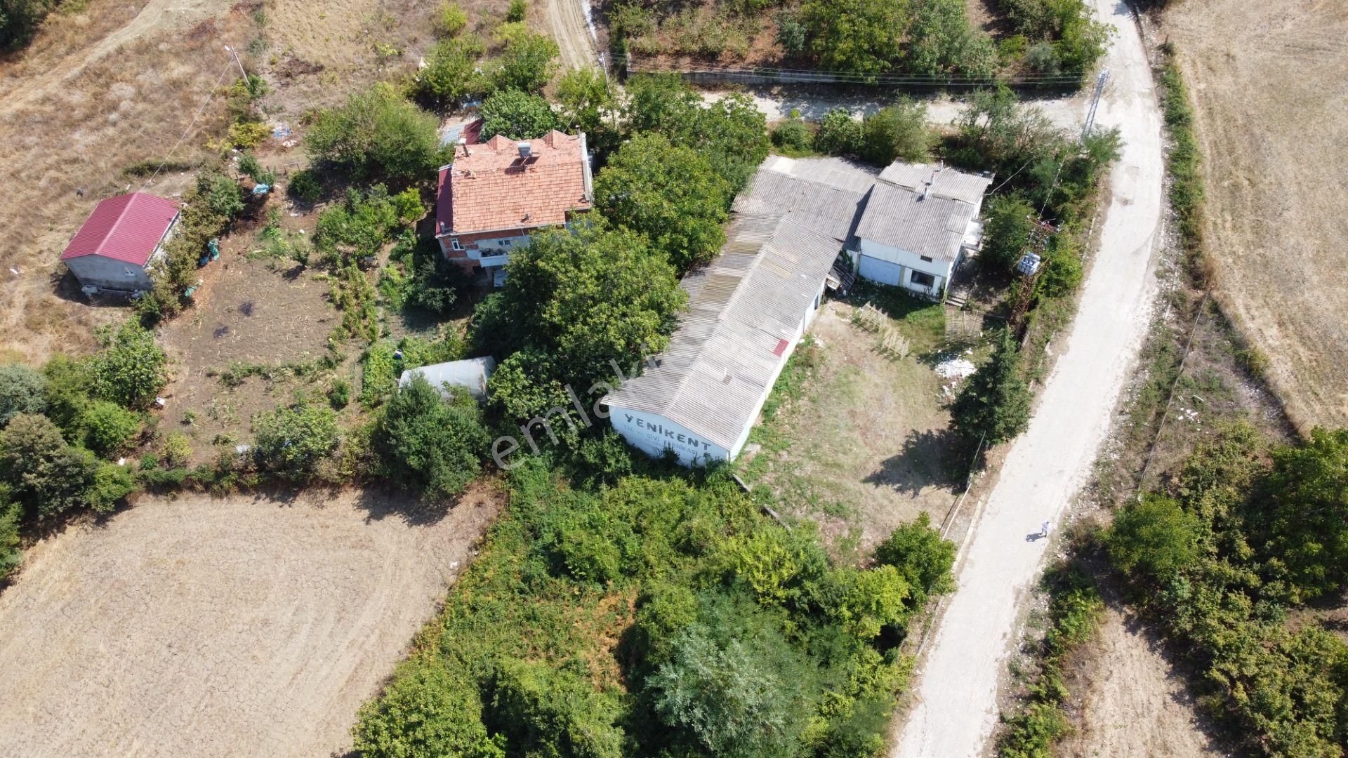 Gerze Yenikent'de Satılık Fabrika - Görsel 2