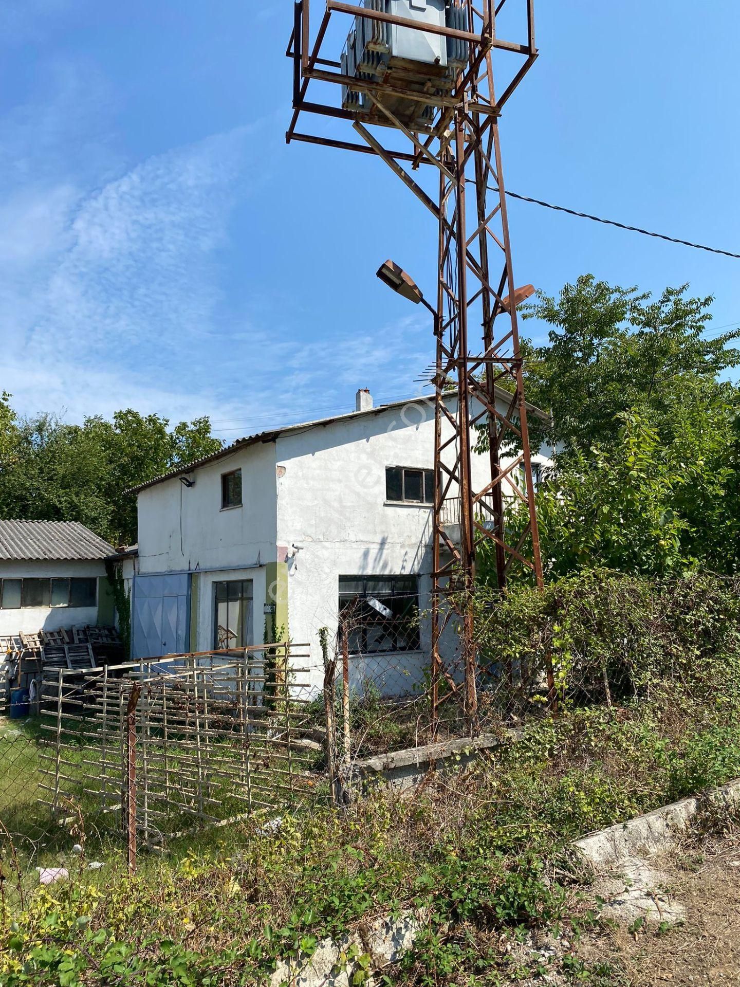 Gerze Yenikent'de Satılık Fabrika - Görsel 5