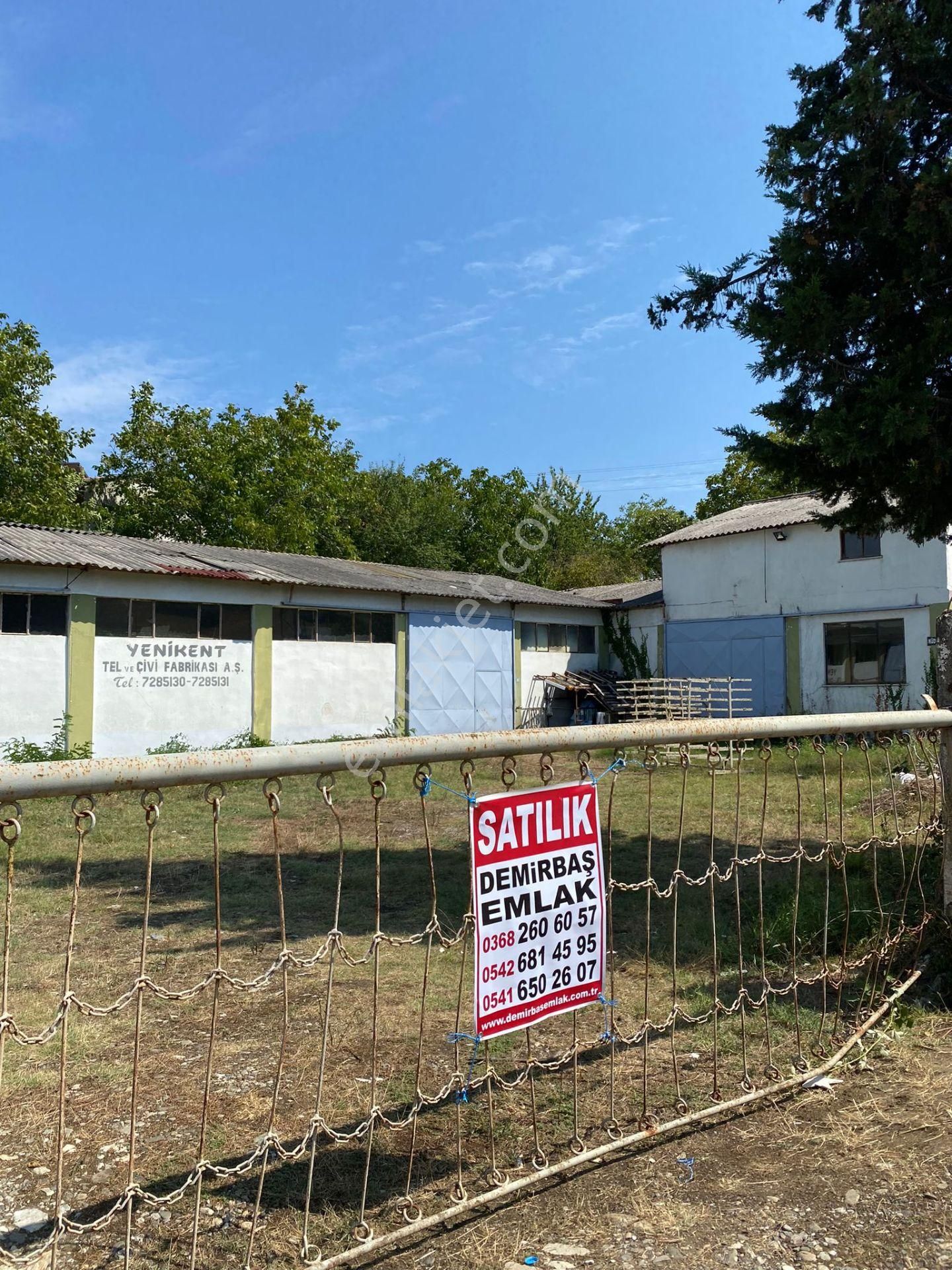 Gerze Yenikent'de Satılık Fabrika - Görsel 3