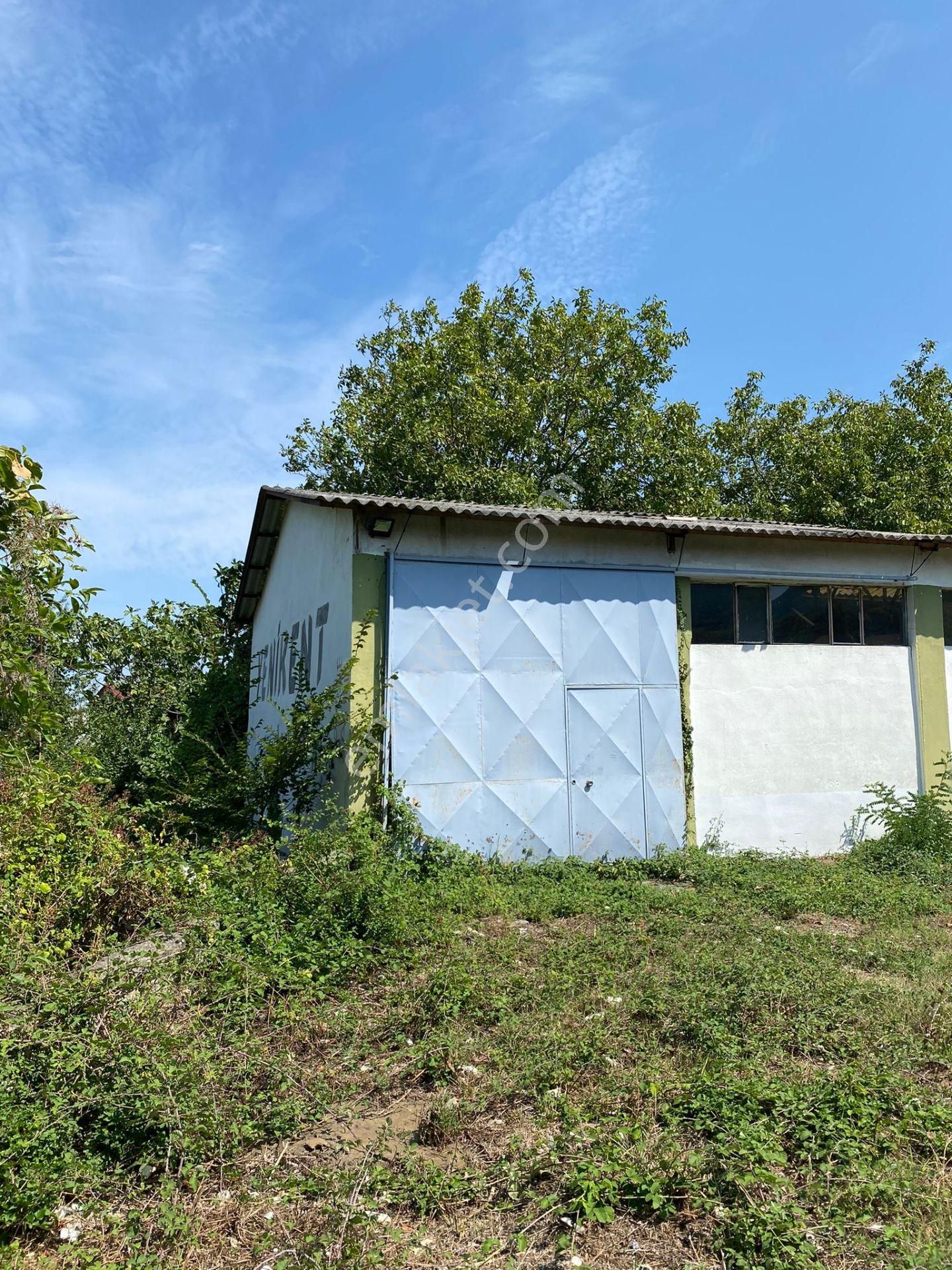 Gerze Yenikent'de Satılık Fabrika - Görsel 6