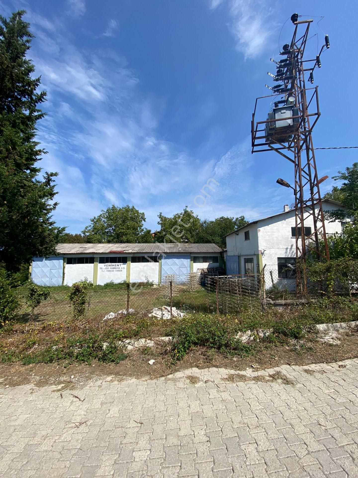 Gerze Yenikent'de Satılık Fabrika - Görsel 4