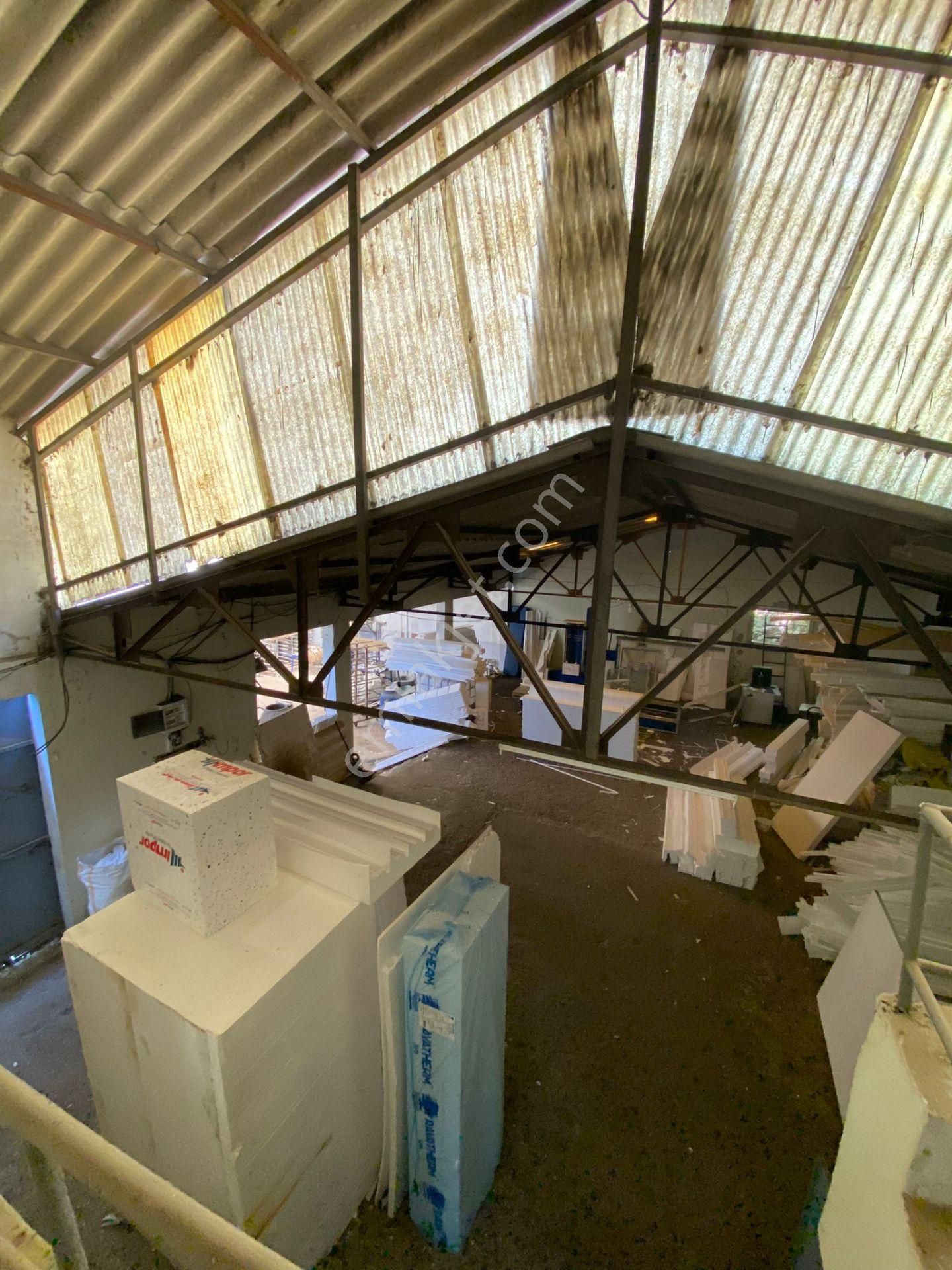 Gerze Yenikent'de Satılık Fabrika - Görsel 9