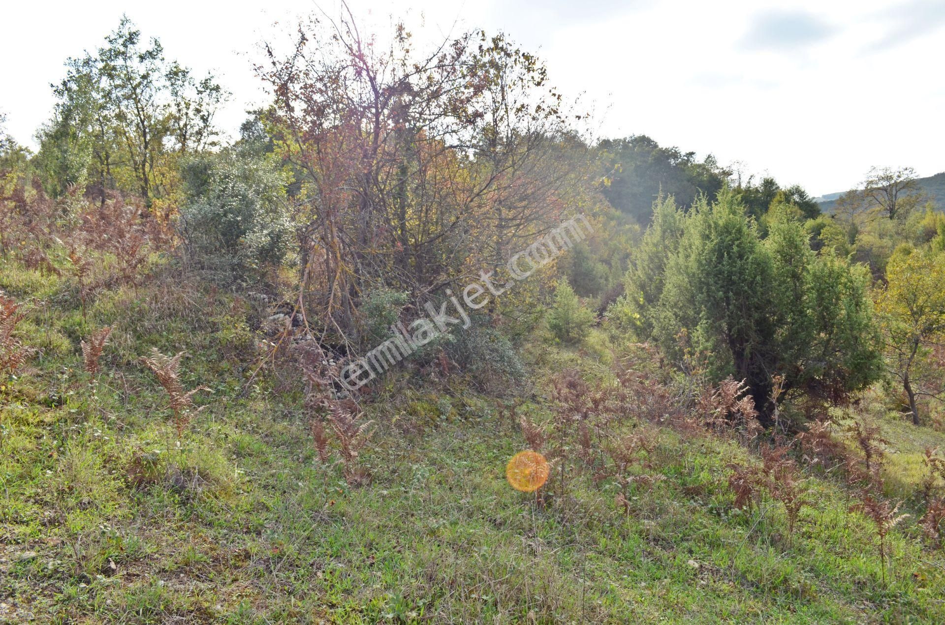 Gebze Elbizli Satılık Tarla Gebze Elbizli Mahallesinde Satılık 3000m² Arsa